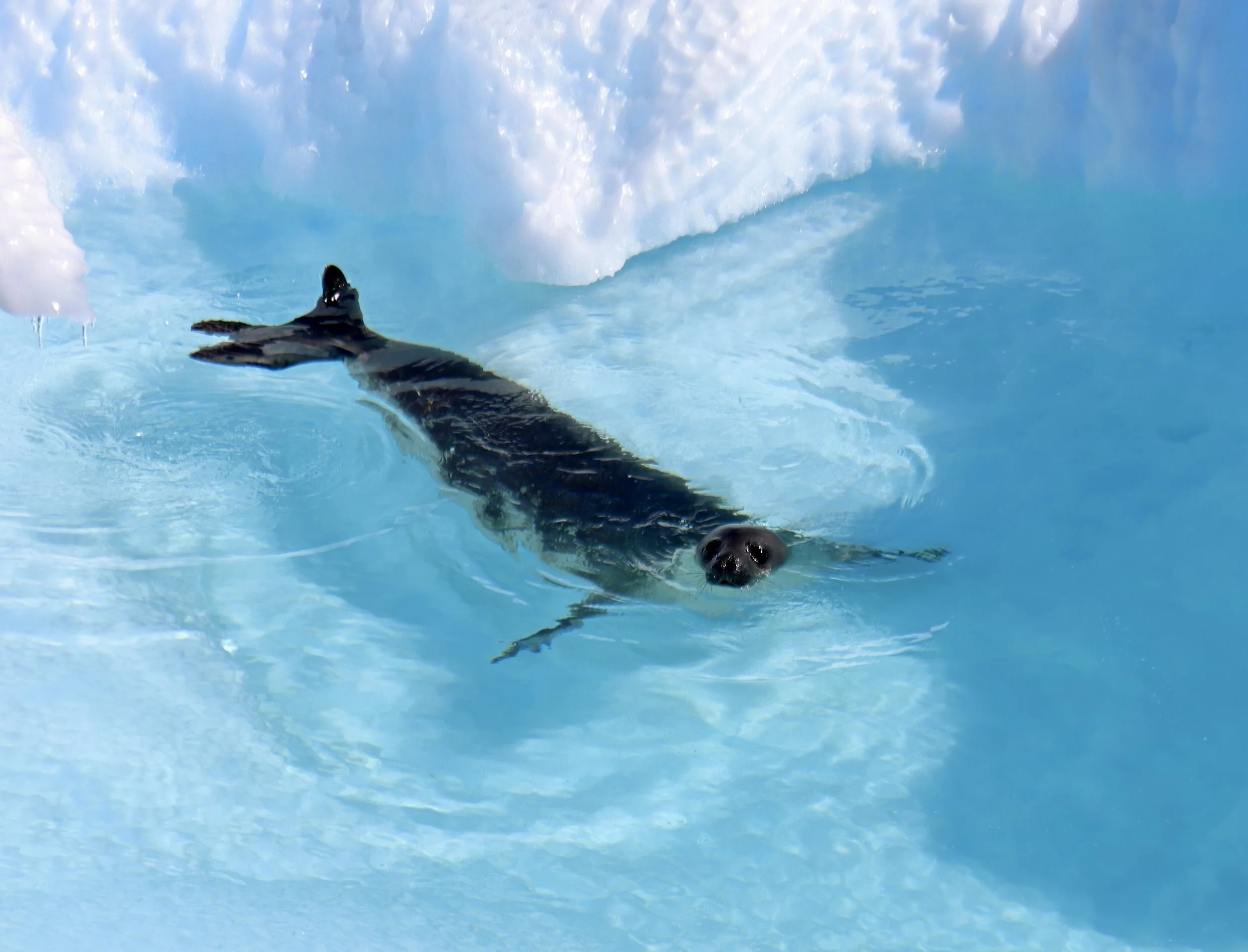 exc IMG_4725-sharpen-upscale-2x.jpeg