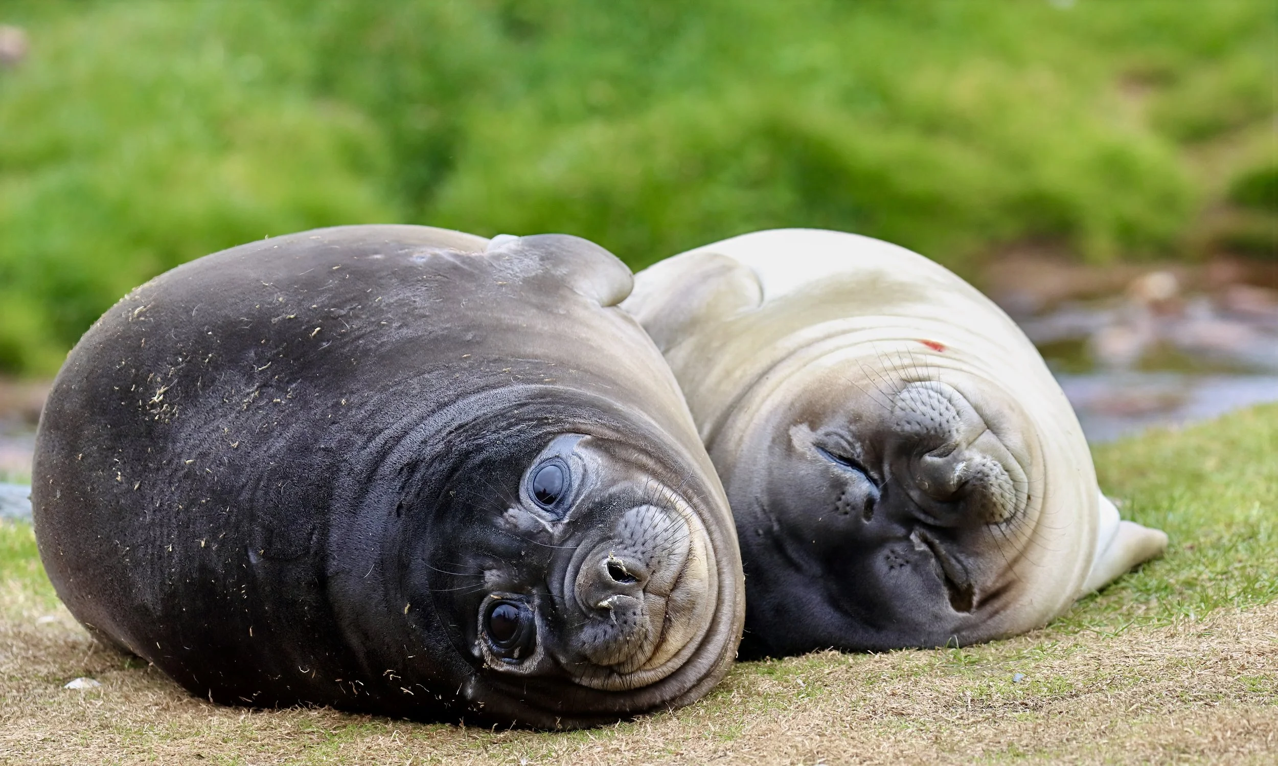 cracker IMG_2728-sharpen-lighting.jpeg