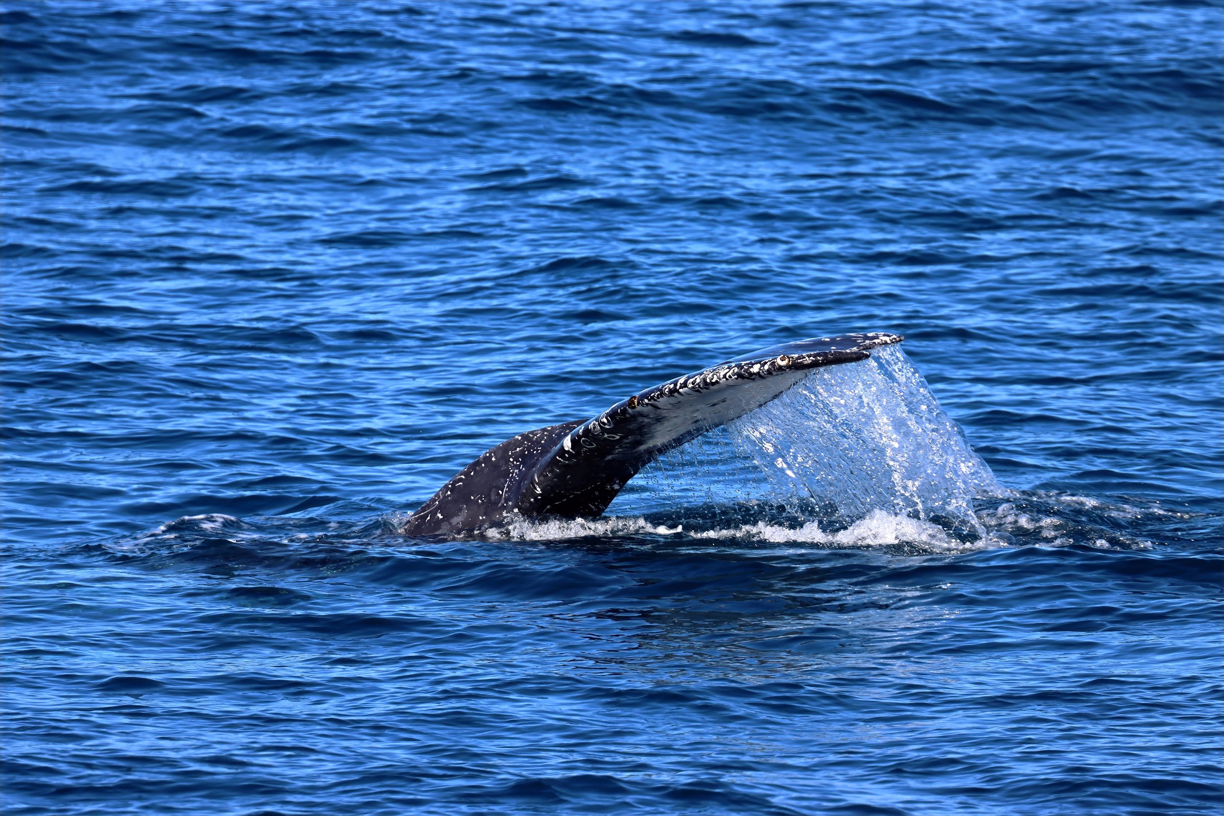 Kaikoura New Zealand