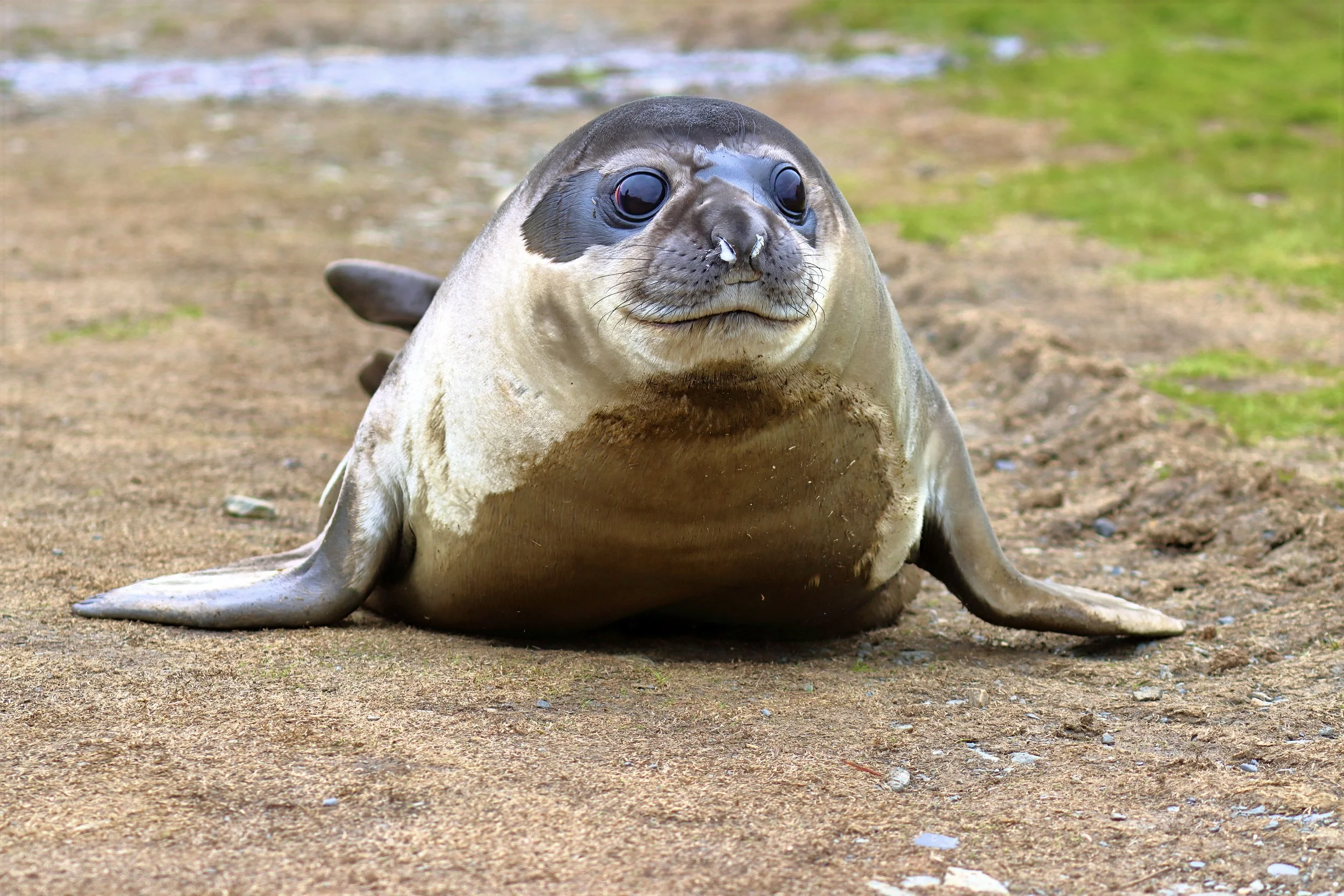 cracker IMG_2618a-sharpen-lighting.jpeg