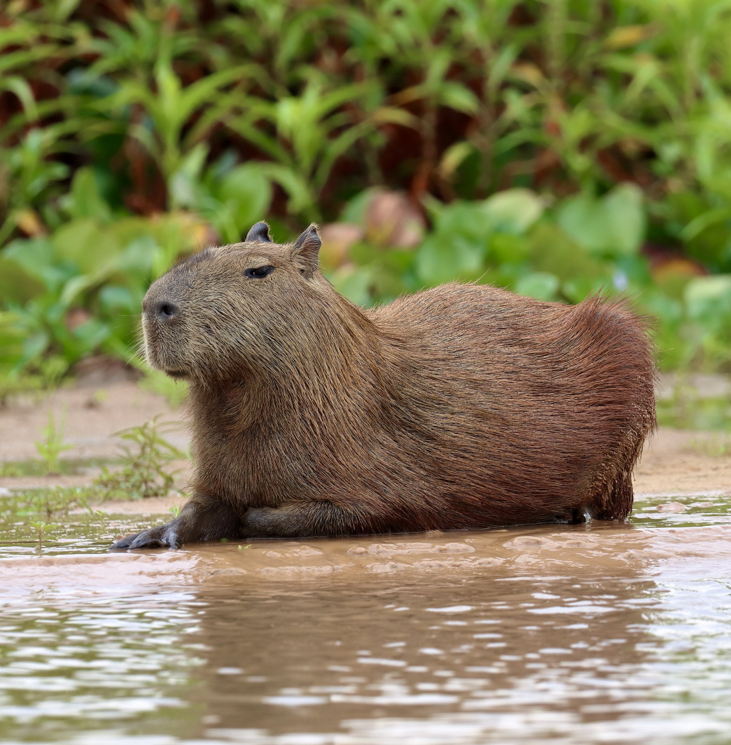 cracker IMG_8727-sharpen.jpeg