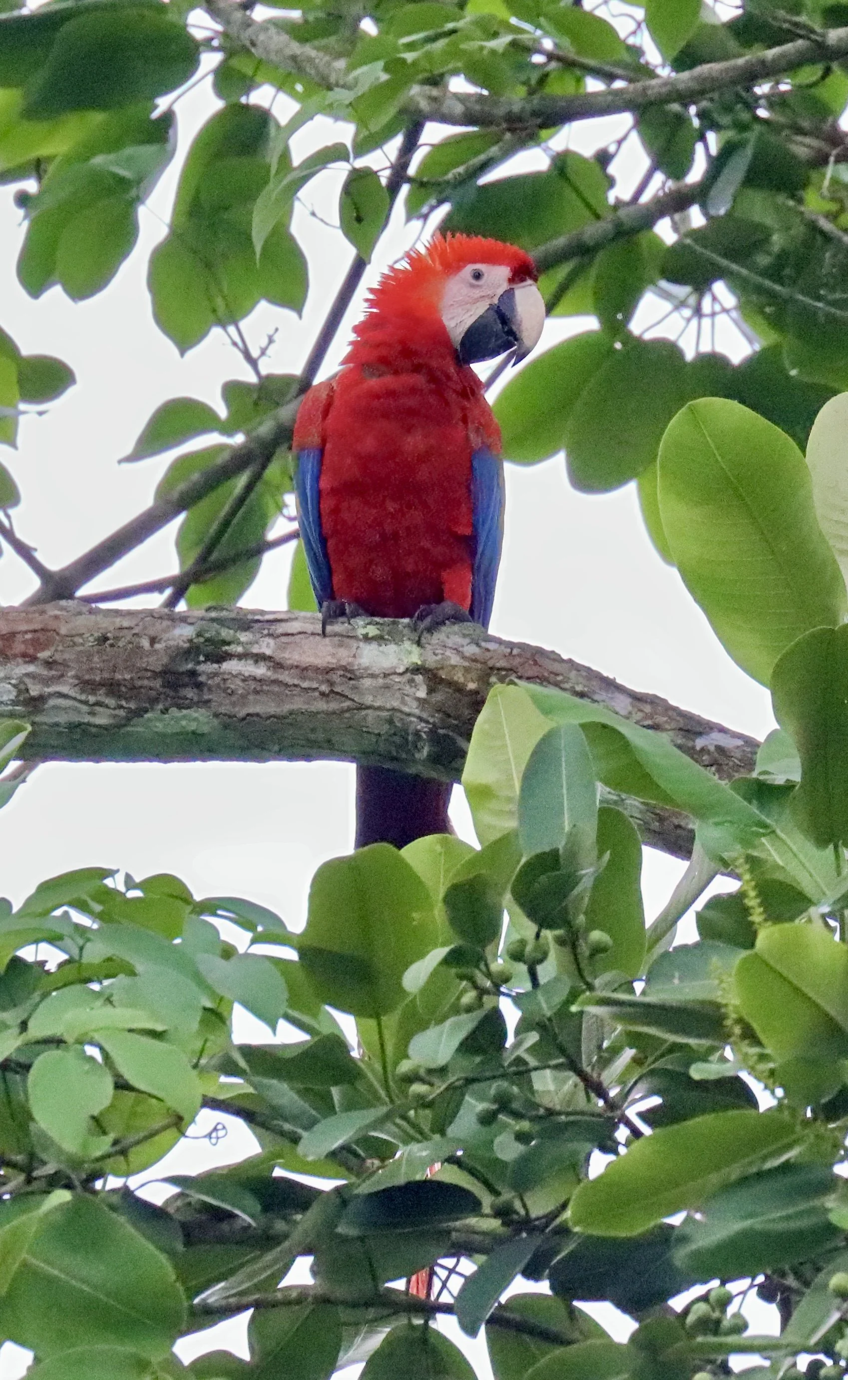 exc IMG_1295-sharpen-lighting.jpeg