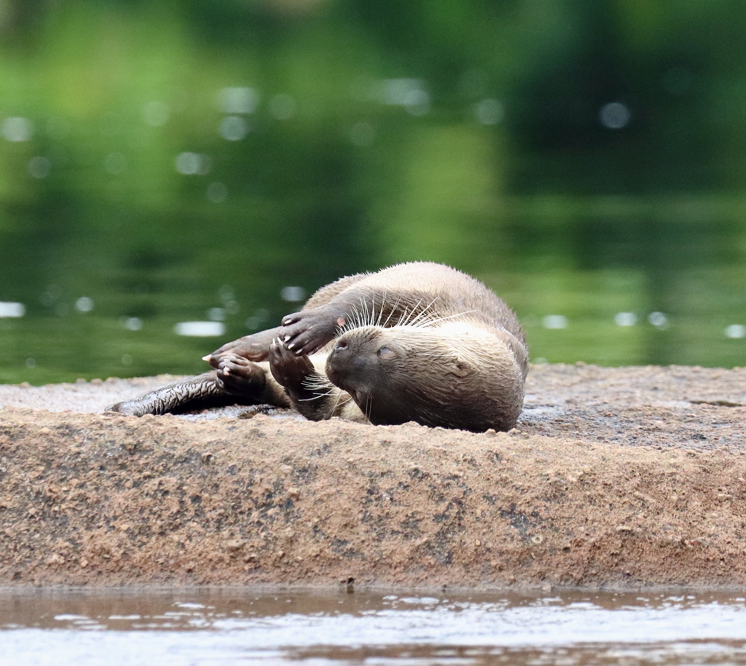 cracker 2 IMG_0987a-sharpen.jpeg