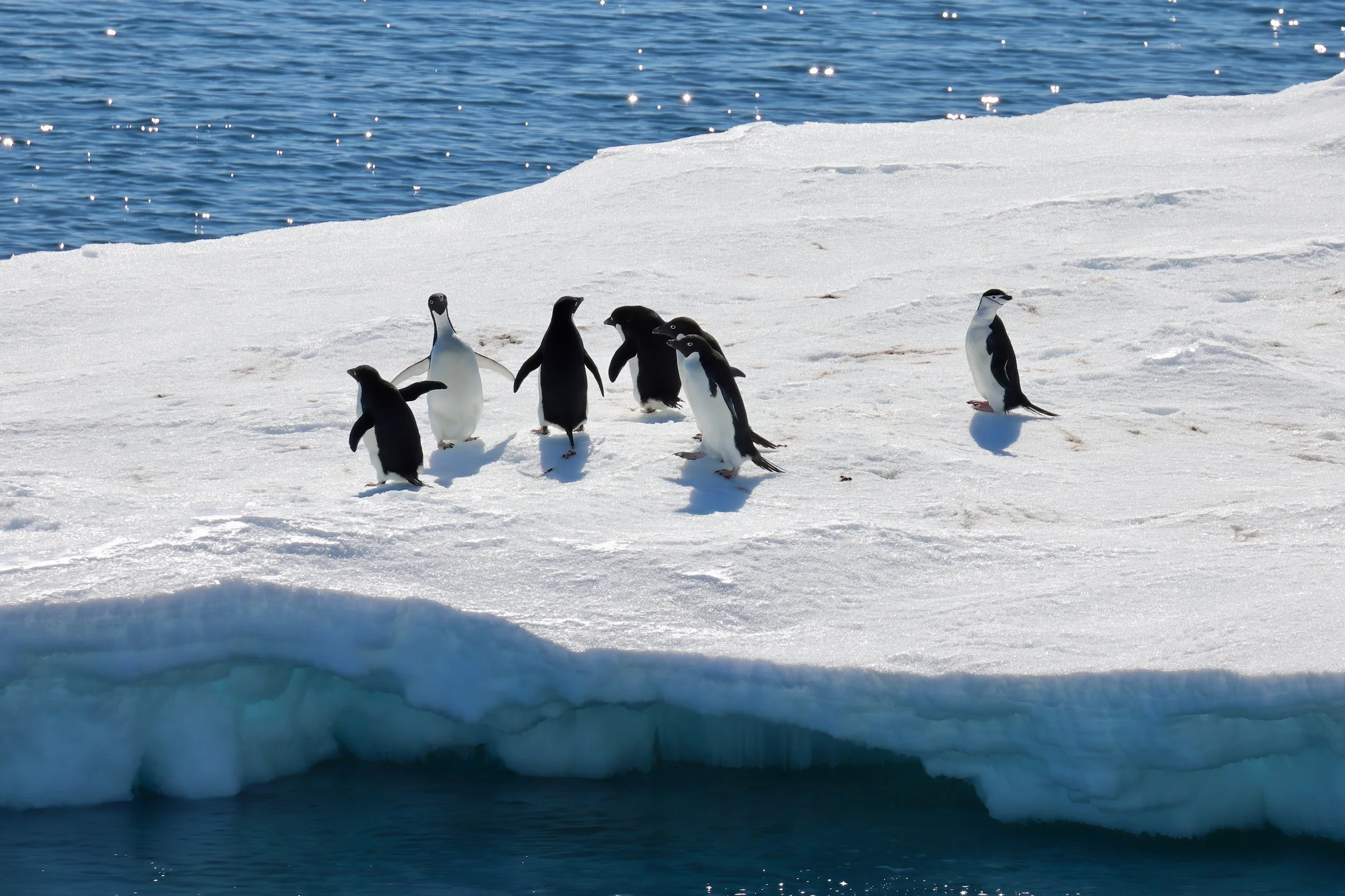 cracker IMG_3402-sharpen-upscale-2x.jpeg