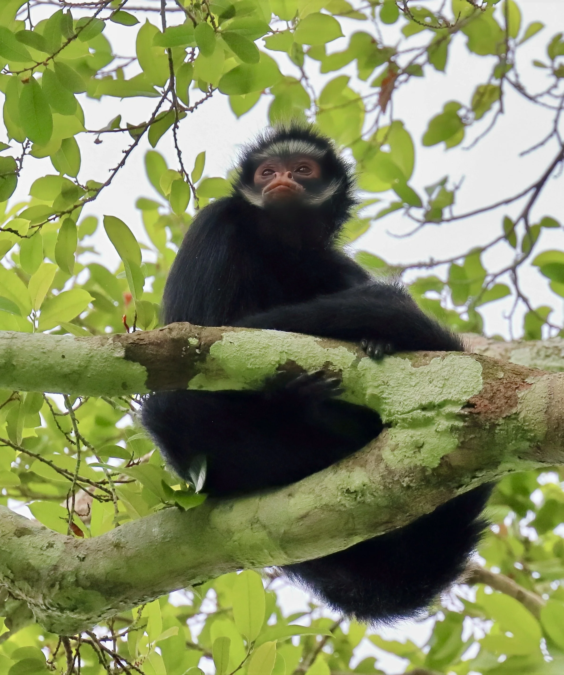 cracker 2 IMG_1058-face-sharpen-lighting.jpeg