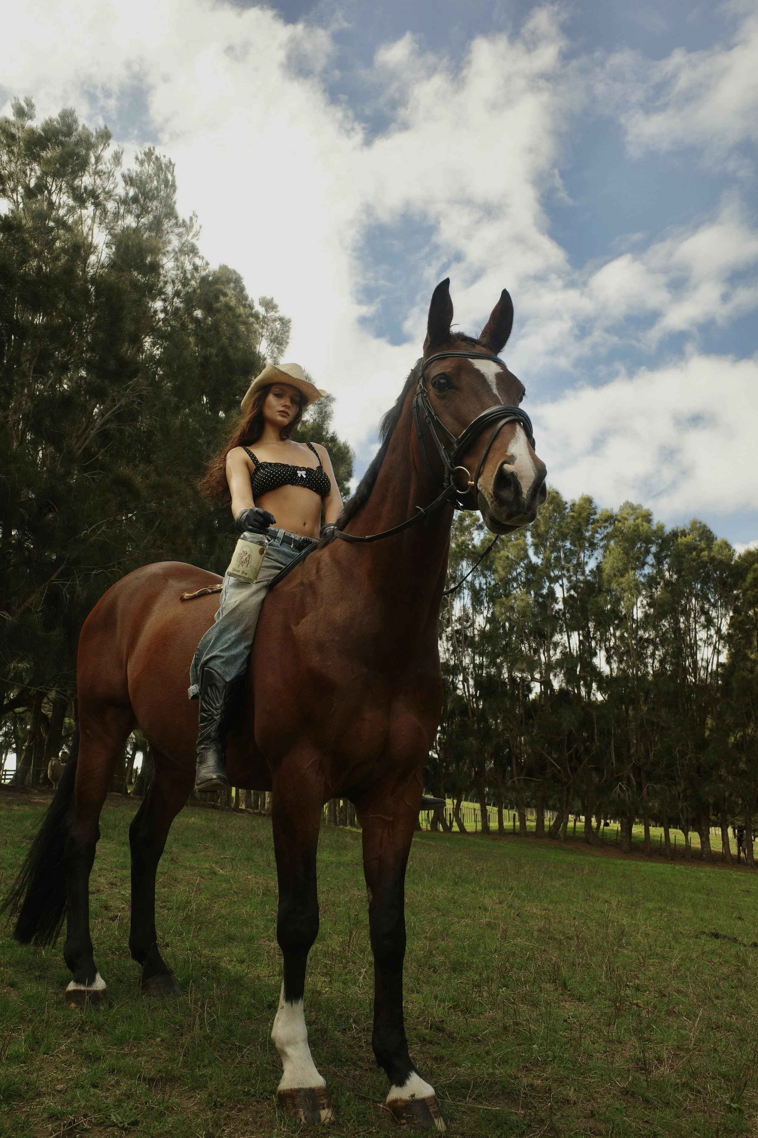 Saint Sin Gin lifestyle shot — woman in a cowboy hat on horseback in an open field, capturing freedom and modern New Zealand spirit.