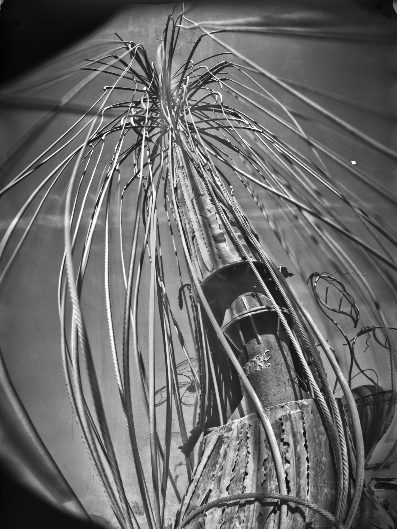 2010__MG_7566.jpg