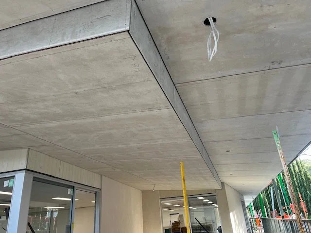 Plaster walls and ceiling