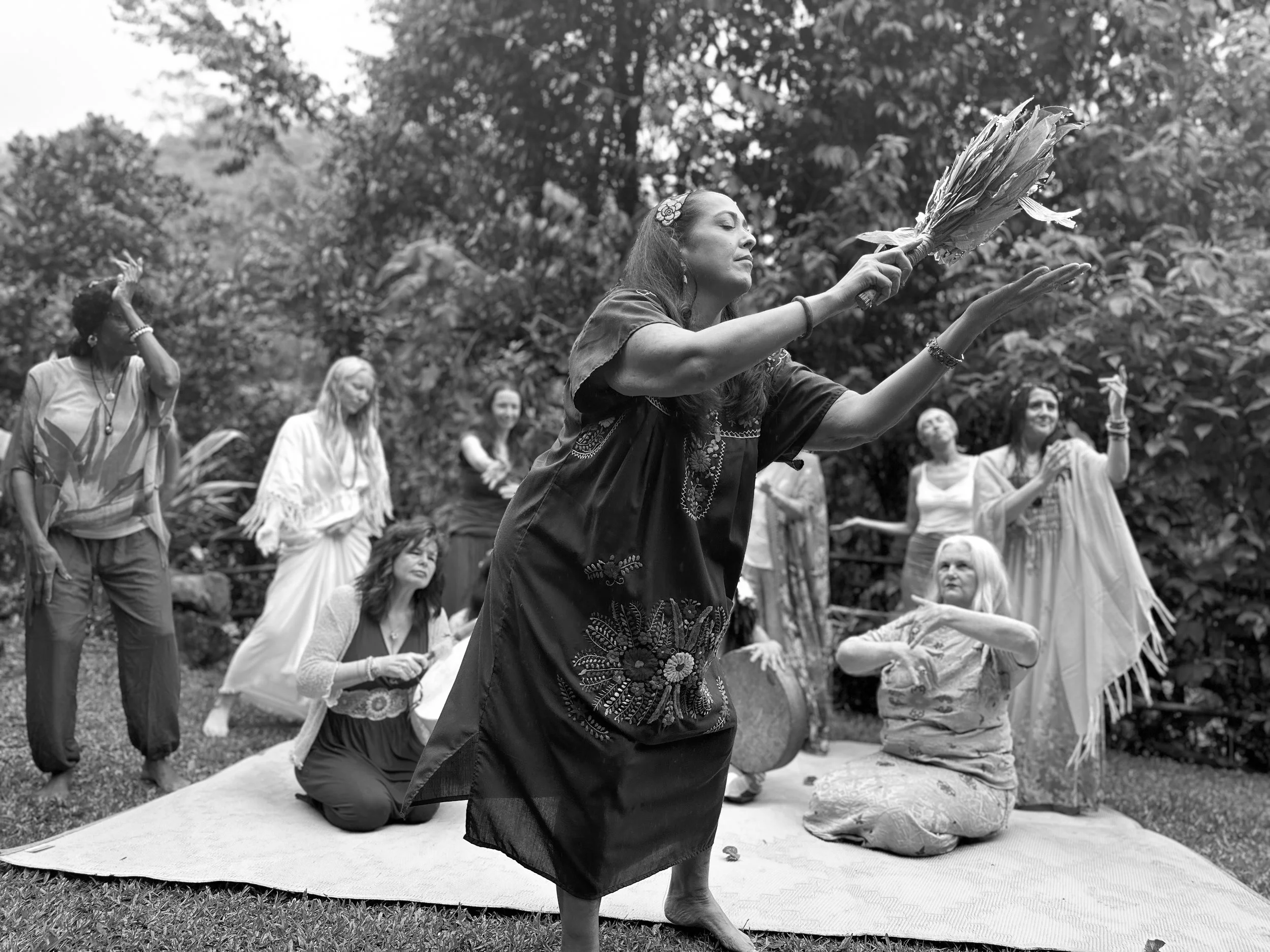 Starseed Costa Rica 2024-2-10.JPG