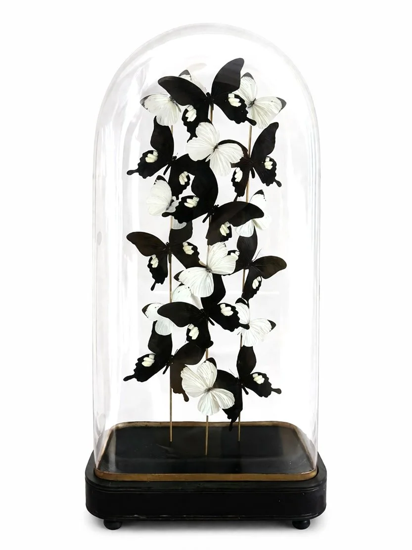 Chiaroscuro Product Page.jpg