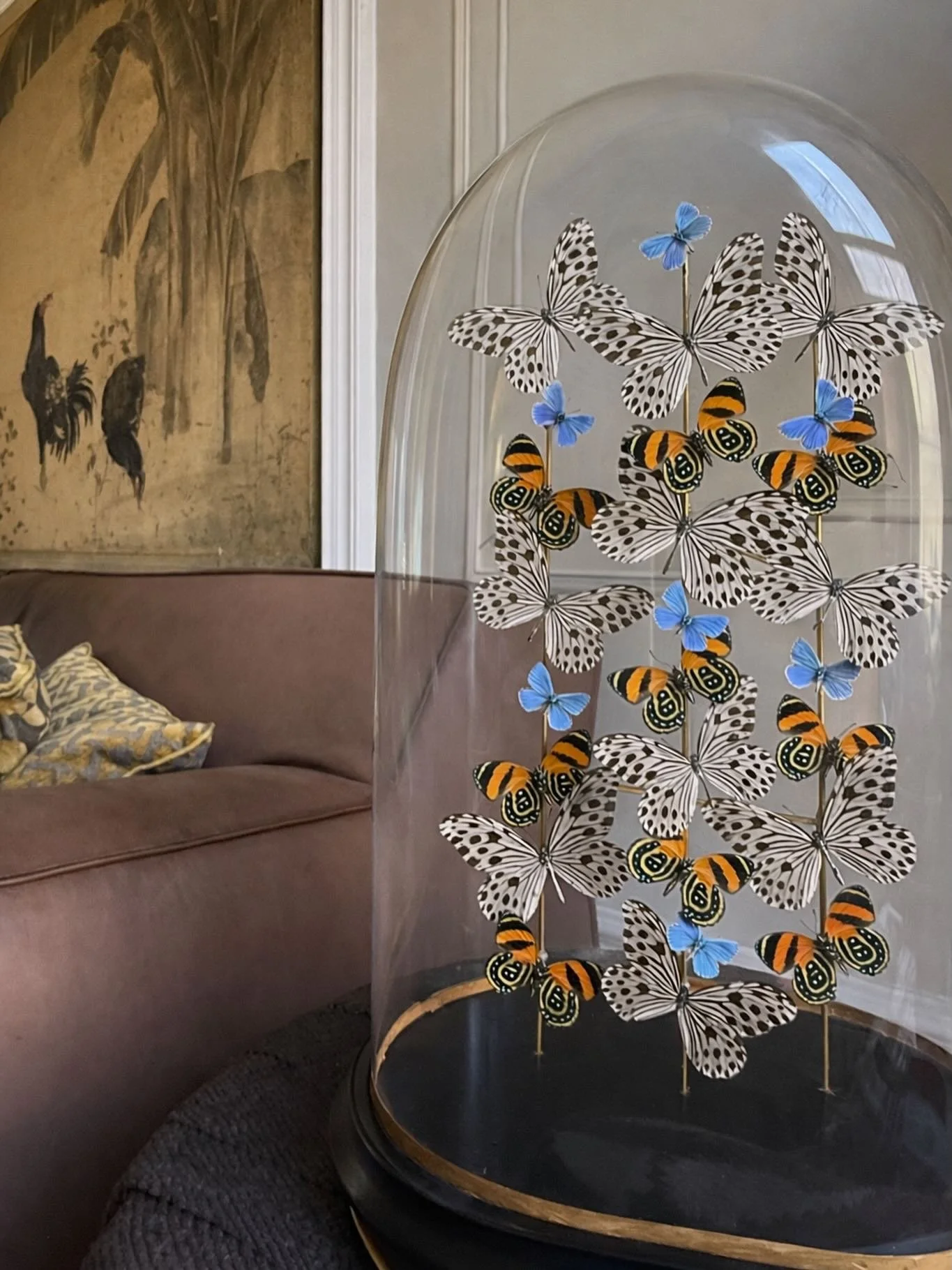 Polka dots, electric blue and burnt orange swirling together in a nineteenth century glass dome 

&mdash;

#homedecor #interiordesign #entomology #butterflyart #insectart