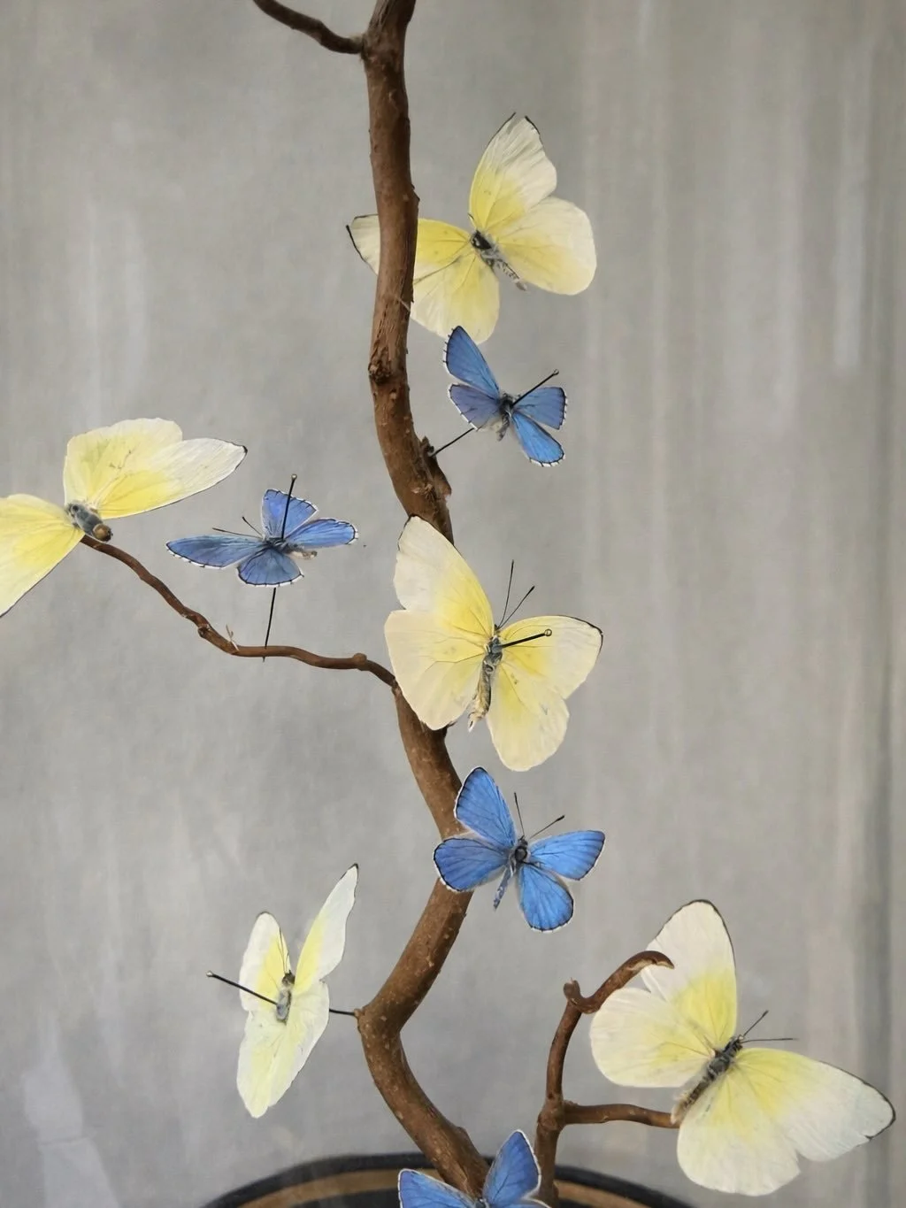A central branch with yellow pastels and electric blues.

&mdash;

#homedecor #butterflies