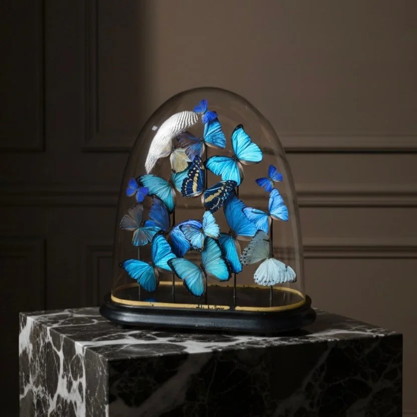 I love the shape of these wide-base oval domes, even though they&rsquo;re more demanding to work with. Their triangular profile requires careful planning&mdash;each butterfly positioned so its wings follow the curve without ever touching the glass. T