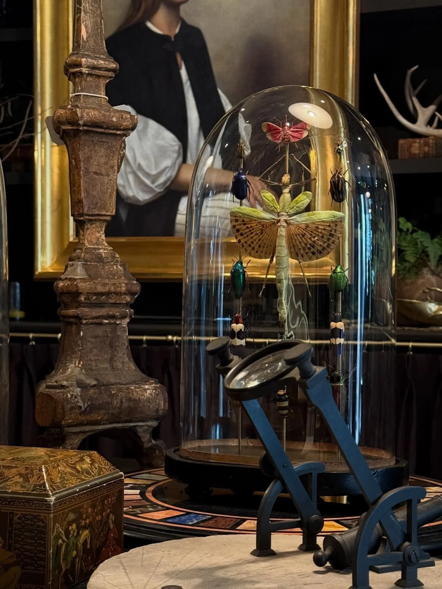 A beetle totem under glass, at home among beautiful things. @wentworthbygbs 🖤 @chsxdesign 

&mdash;

#homedecorating #interiordesign #cabinetofcuriosity