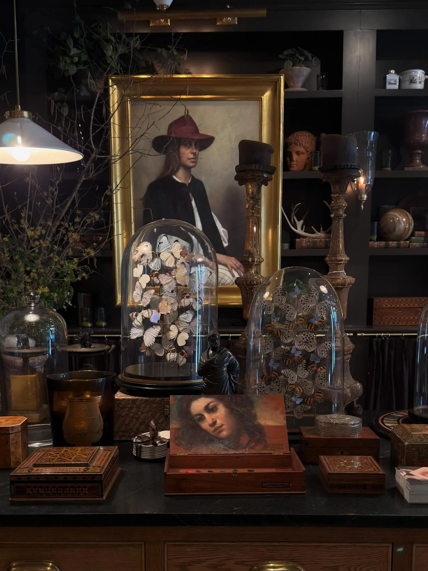 Butterfly domes among some beautiful pieces at the @jillhooperart exhibition in Charleston