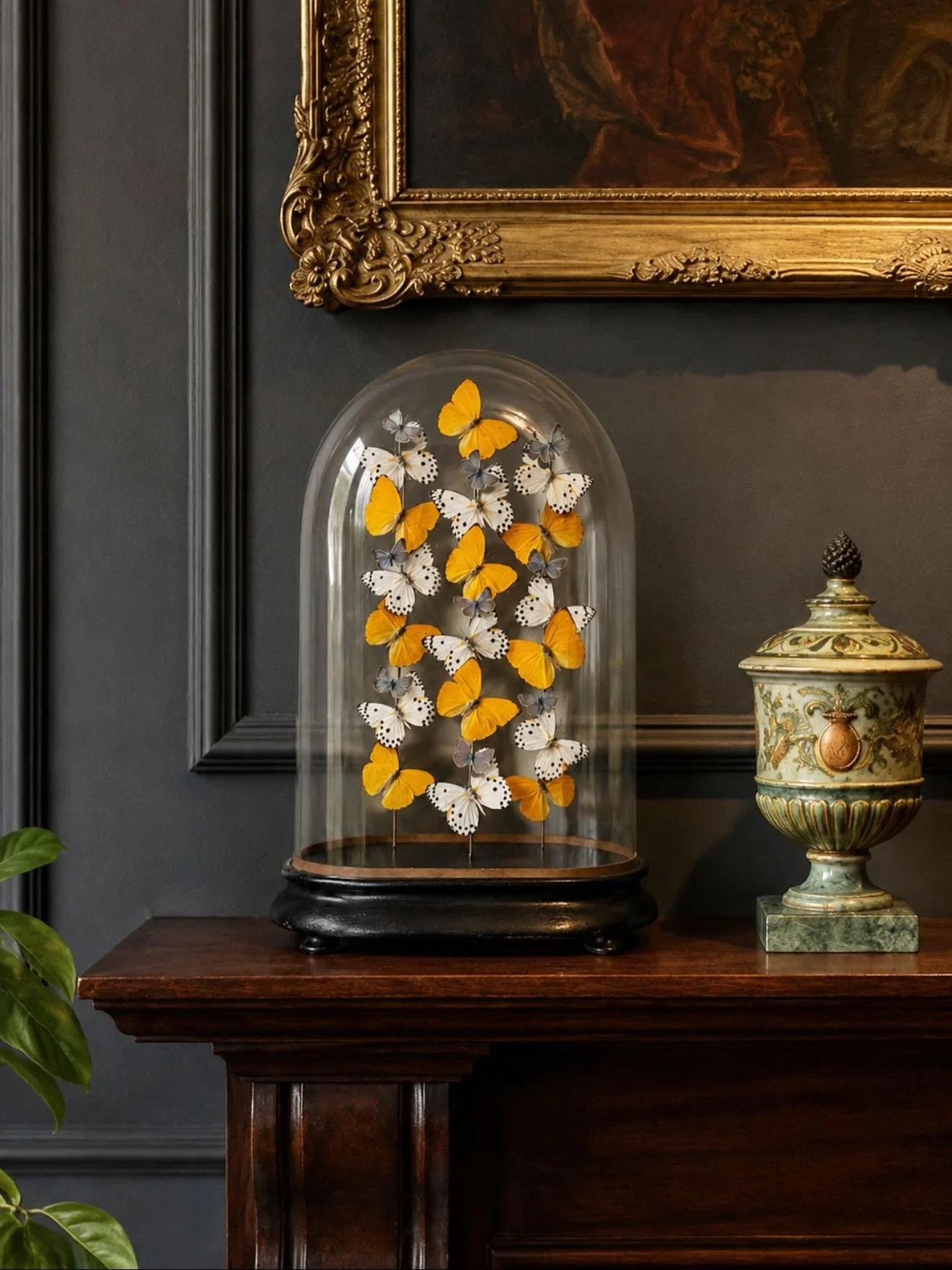 A gathering of warm apricot tones and icy blues under an antique glass dome.

#butterlyart #cabinetofcuriosities #entomology #interiordesign #decor
