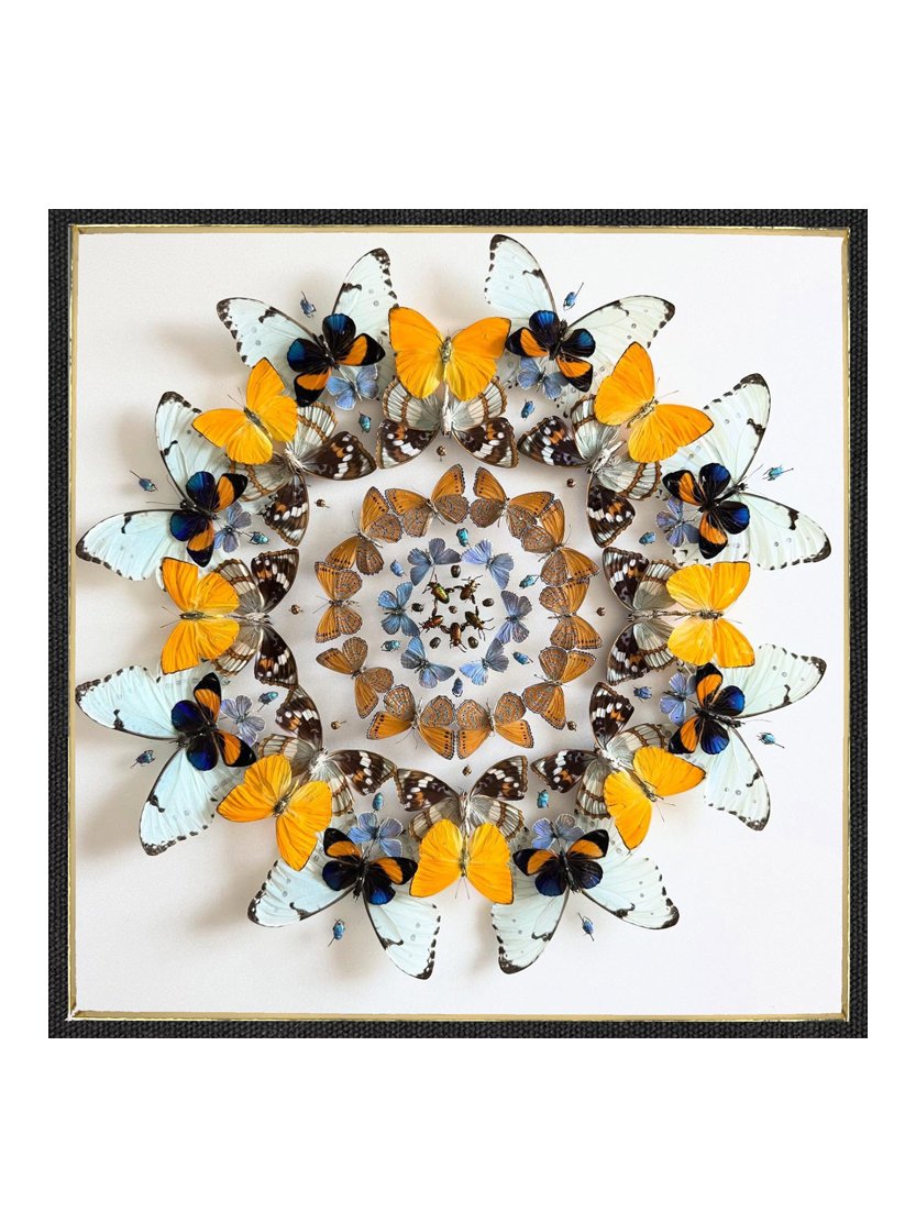 Daffodils Product Page.jpg