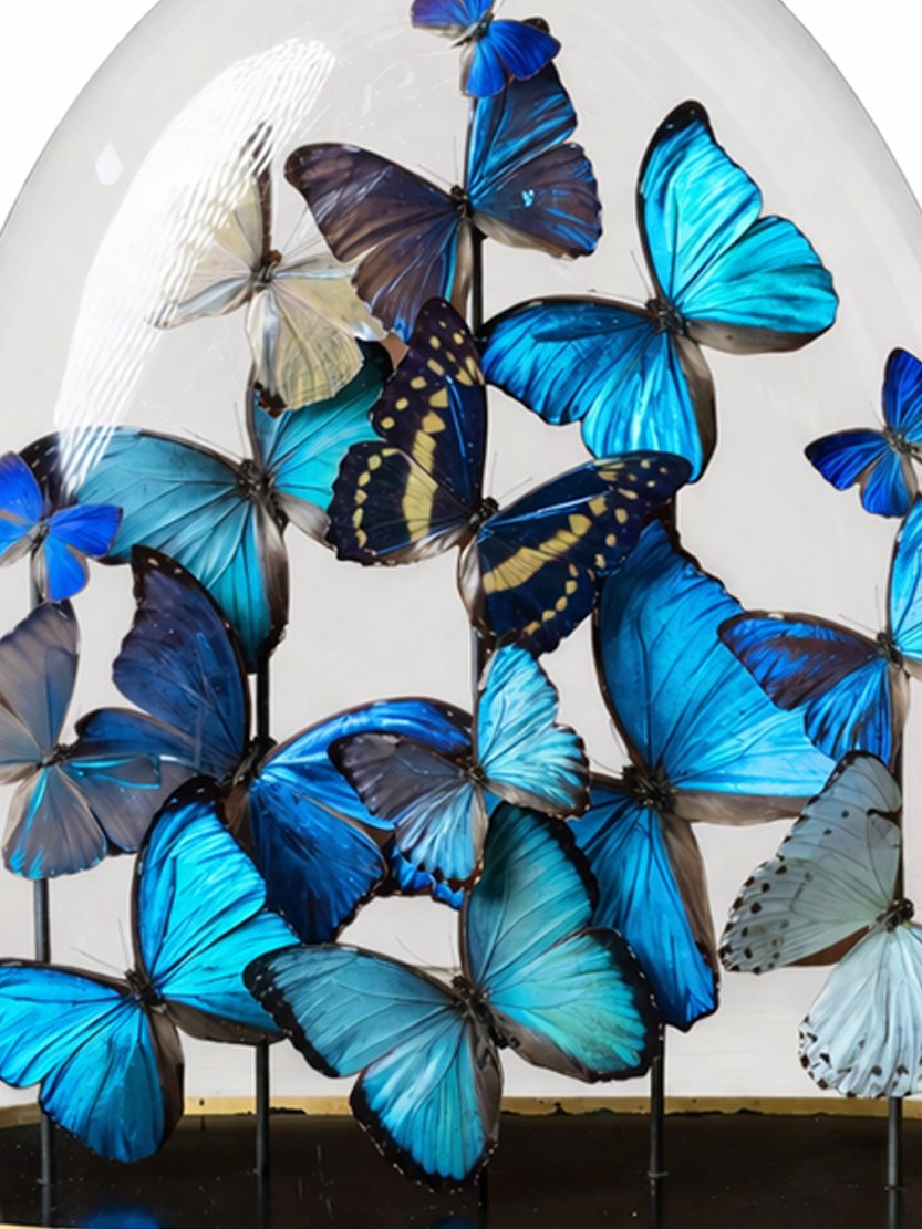 Prism Morphos Zoom Product.jpg