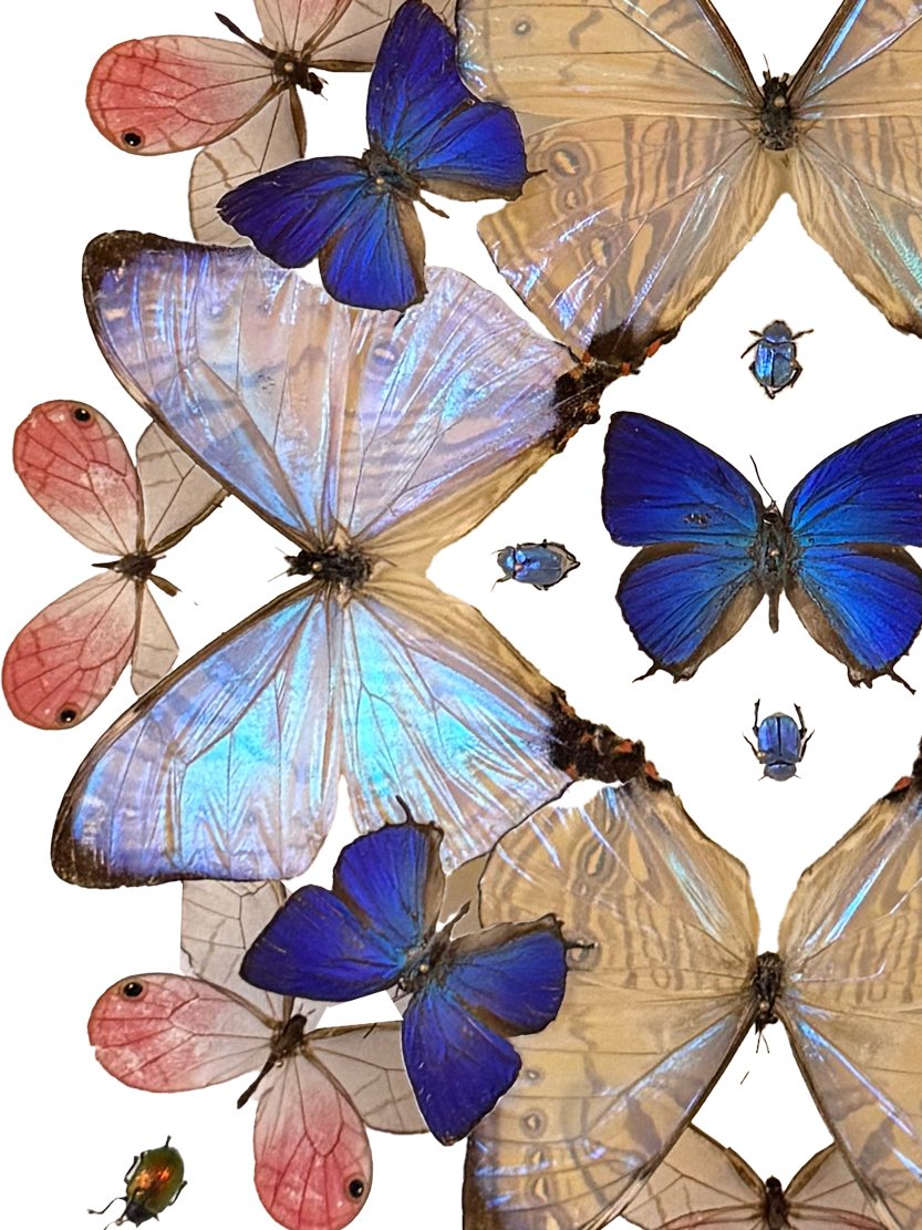 Morning Sky ZOOM PRODUCT PAGE.jpg