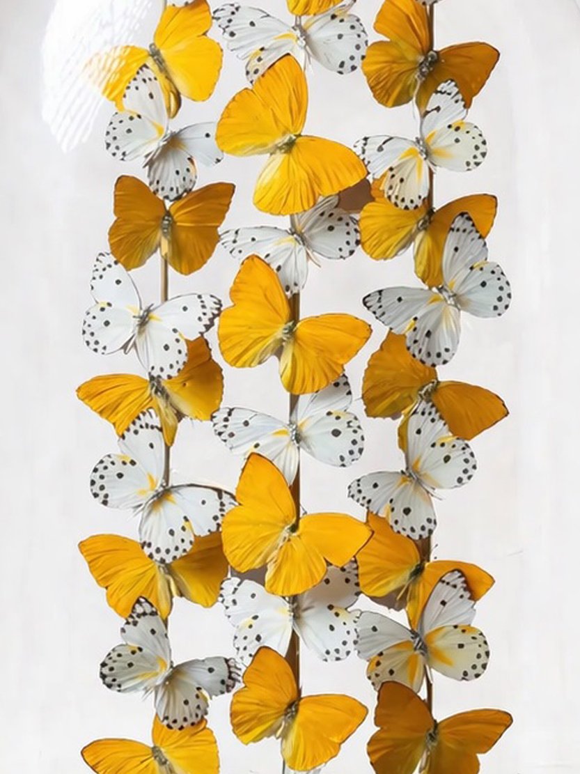 Mango Swirl ZOOM Product Page.jpg