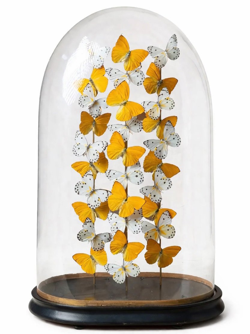 Mango Swirl Product Page1.jpg