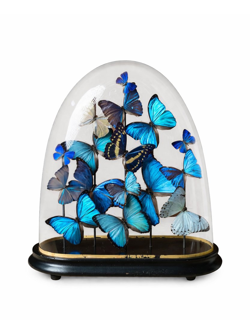 Prism Morphos Product.jpg