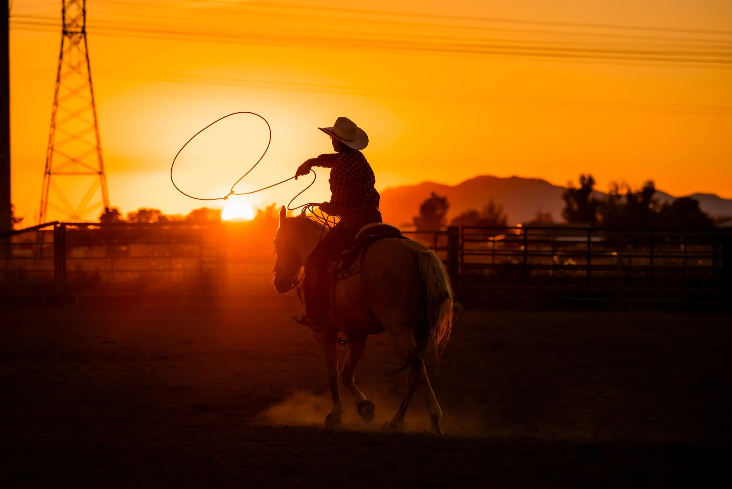 Golden hour with the ropers 🌅🐮

#westernphotography #equinephotography #teamroper #horse #manestreammedia