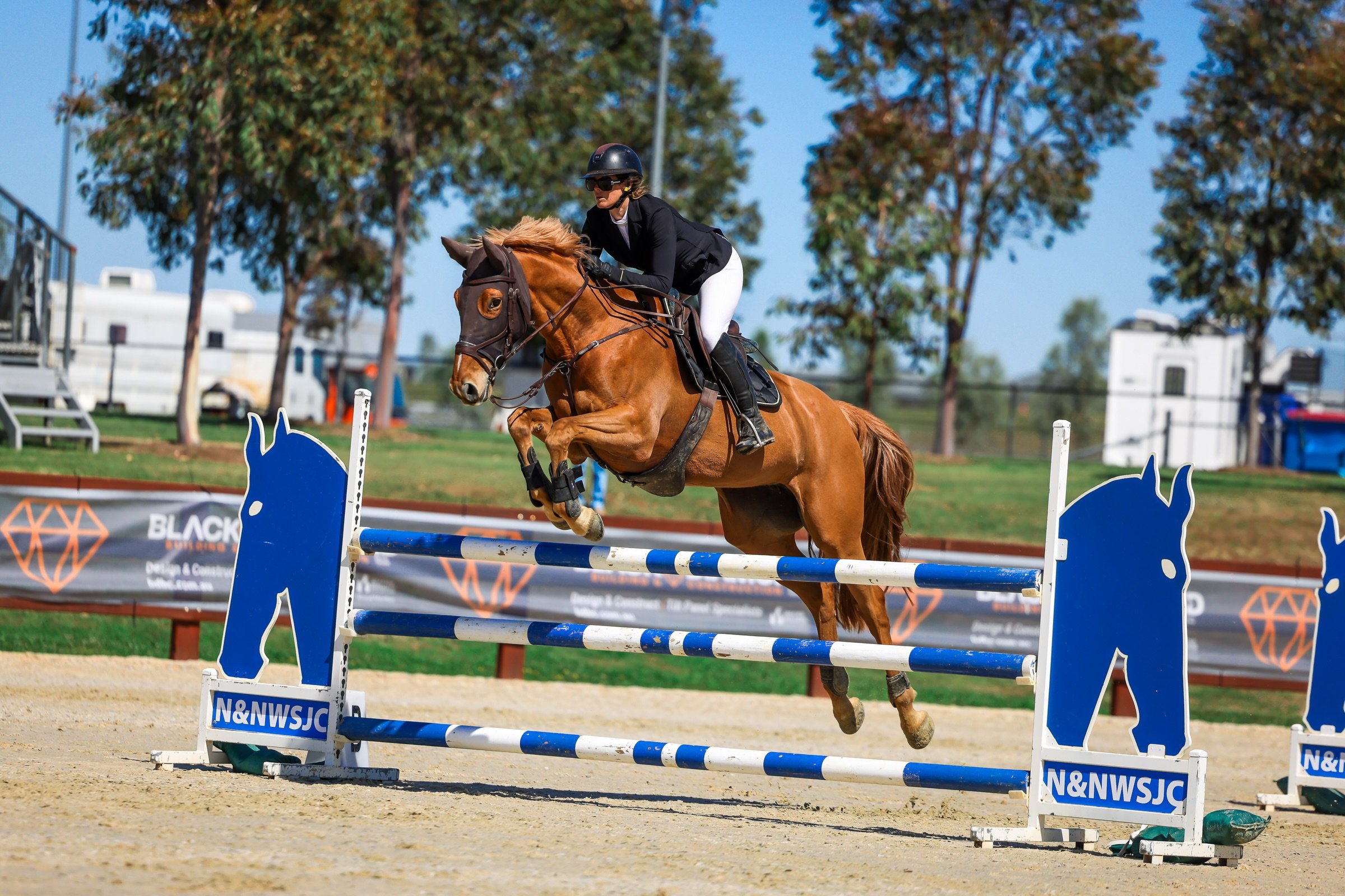 All image proofs from @nnwsjc Tamworth World Cup show are now online and ready for purchase! Visit the link in my bio to access the gallery 🔗💻

Across the four days of competition, I captured all riders in every class of one arena: 

THURSDAY - RIN