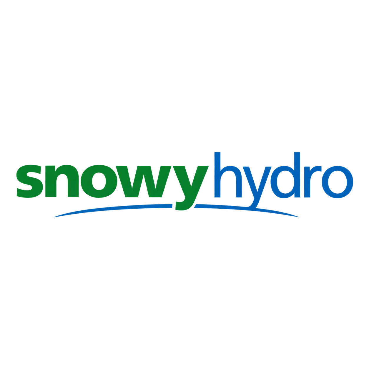 Snowy image.png