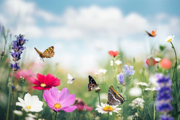 Healthy Eating for Spring