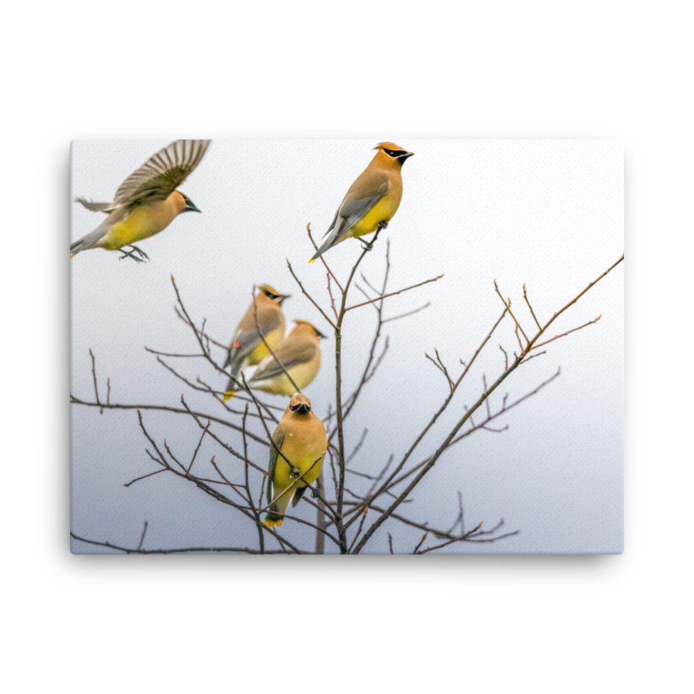 thin-canvas-(in)-24x32-front-67dce1b6c9086.png