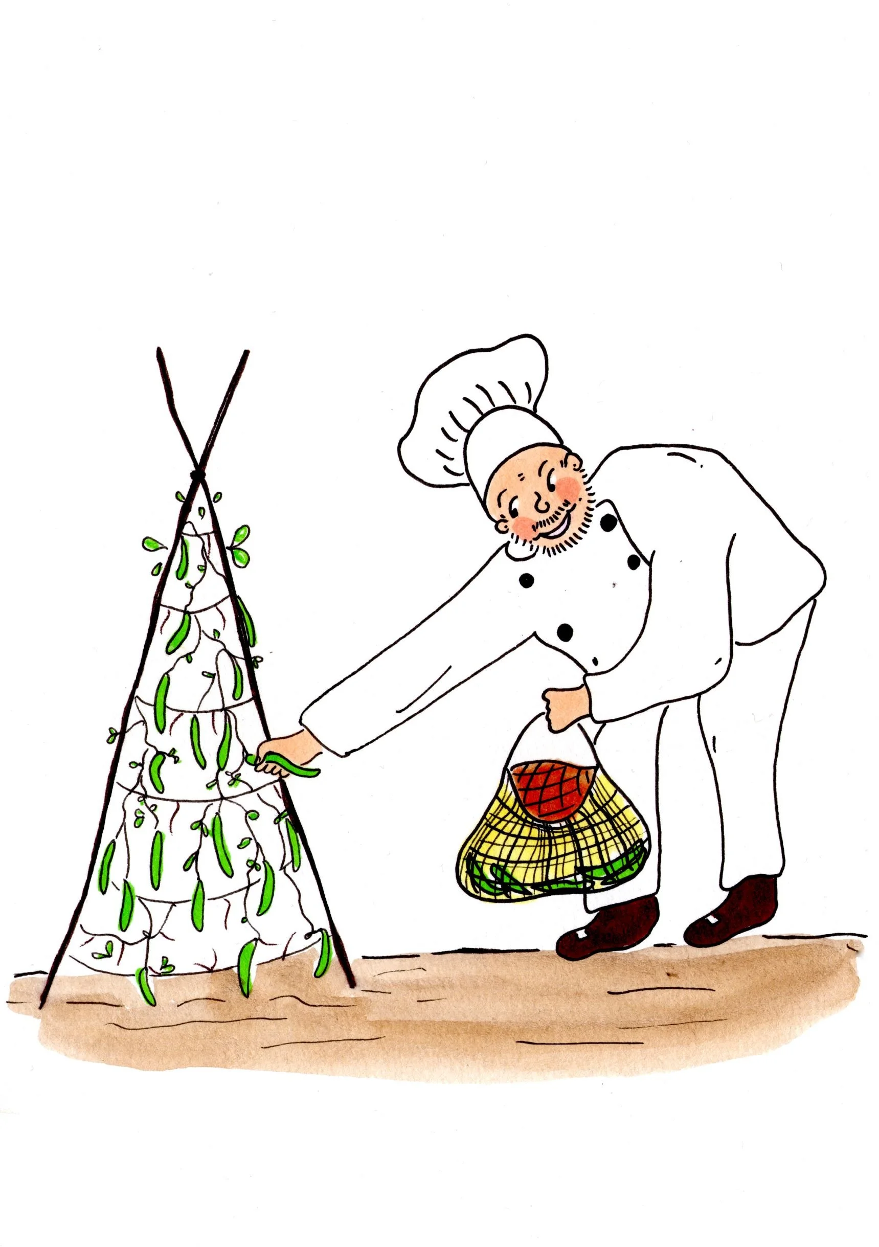 Illustrations_AnnaFalconer - 27.jpg