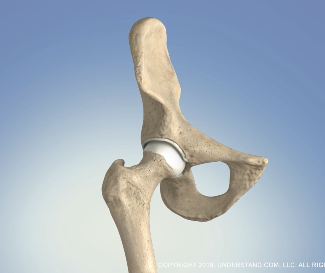 Screenshot 2024-09-29 at 10.04.08 AM.png