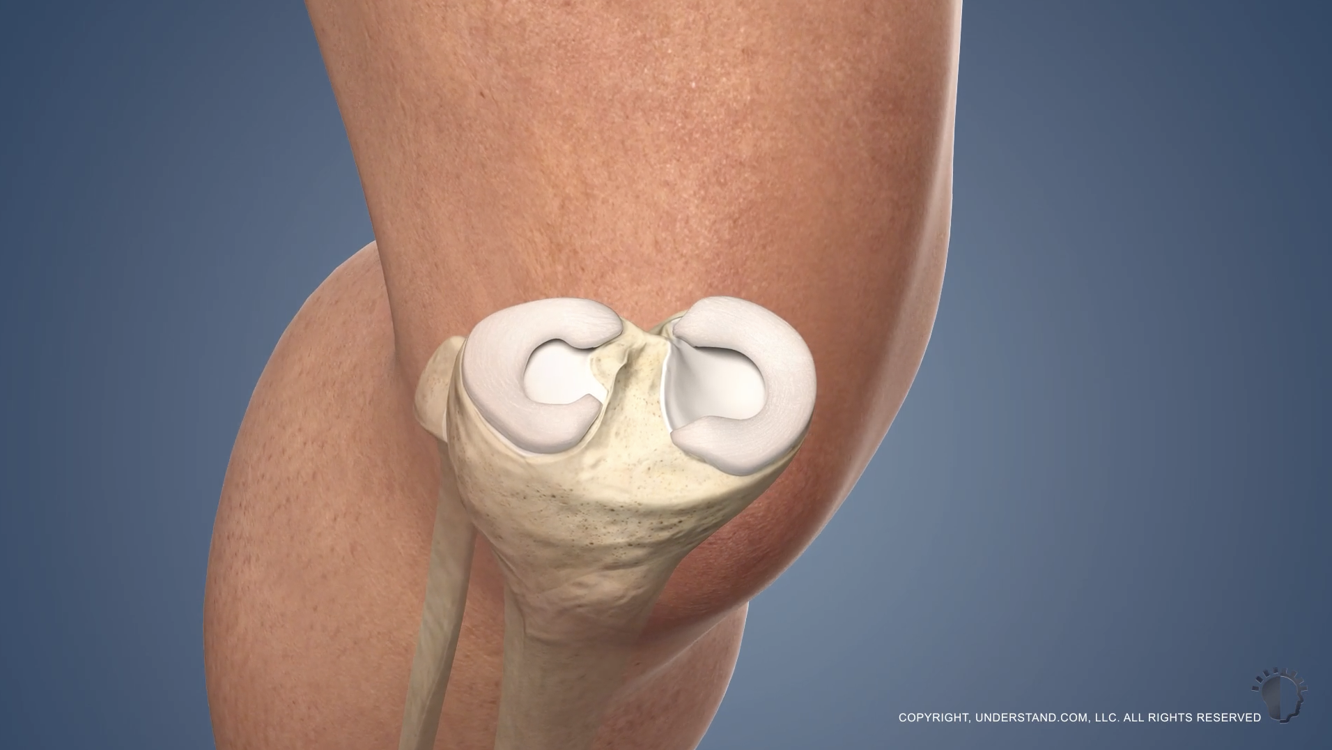 Screenshot 2024-09-14 at 10.55.07 AM.png