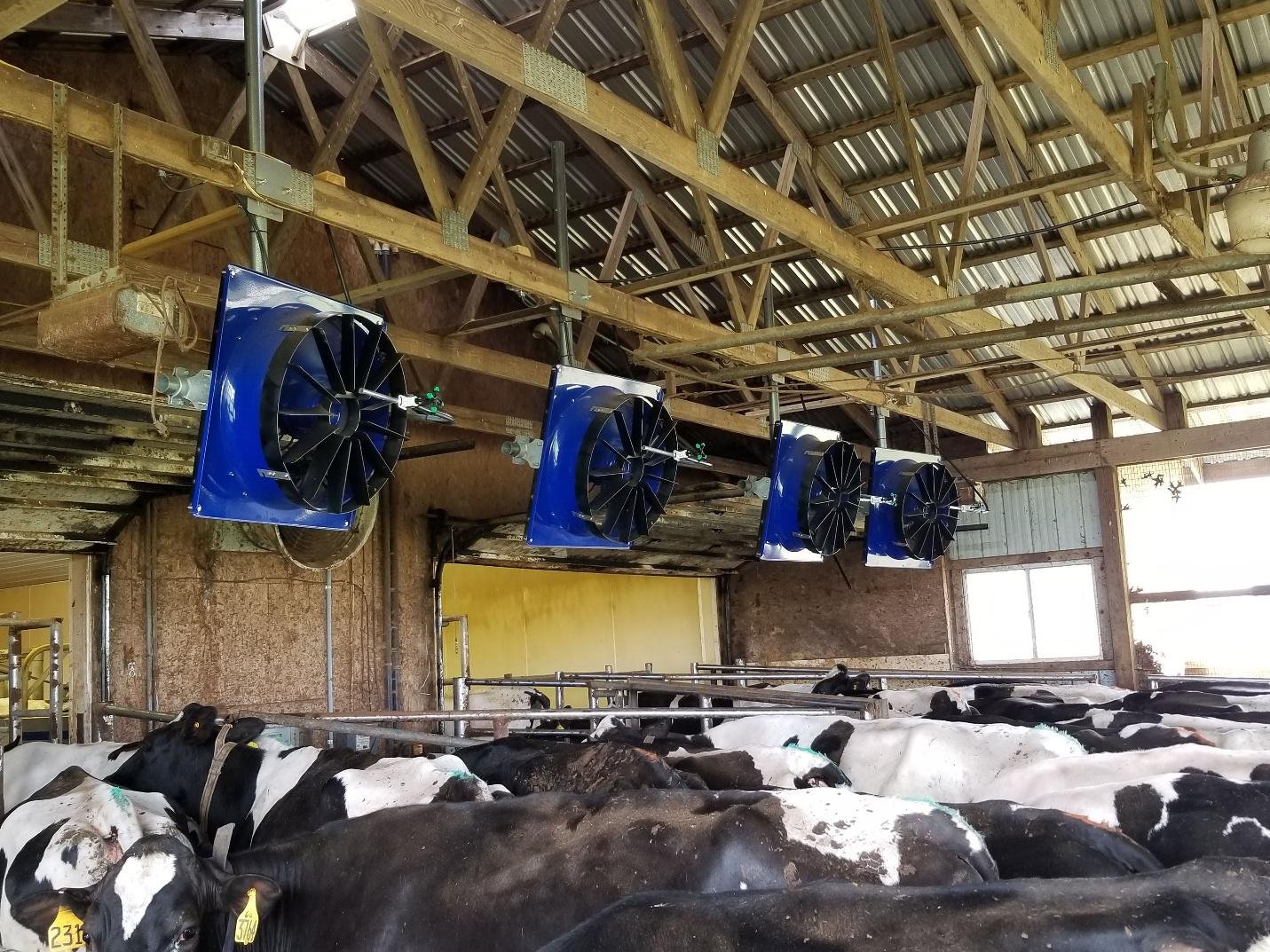 Fall Prep, Summer Gains: Why Now’s the Time to Rethink Holding-Area Ventilation