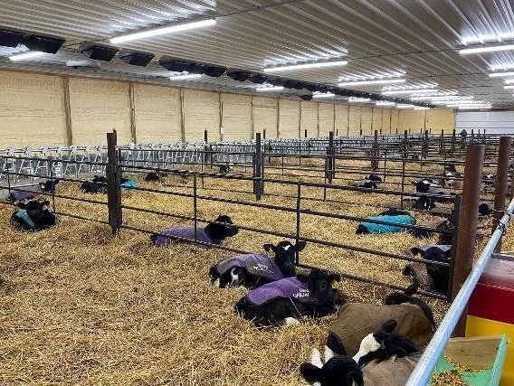 Taking Control of Calf Housing and Health: 24/7, 365 Control for your Calves&nbsp; 