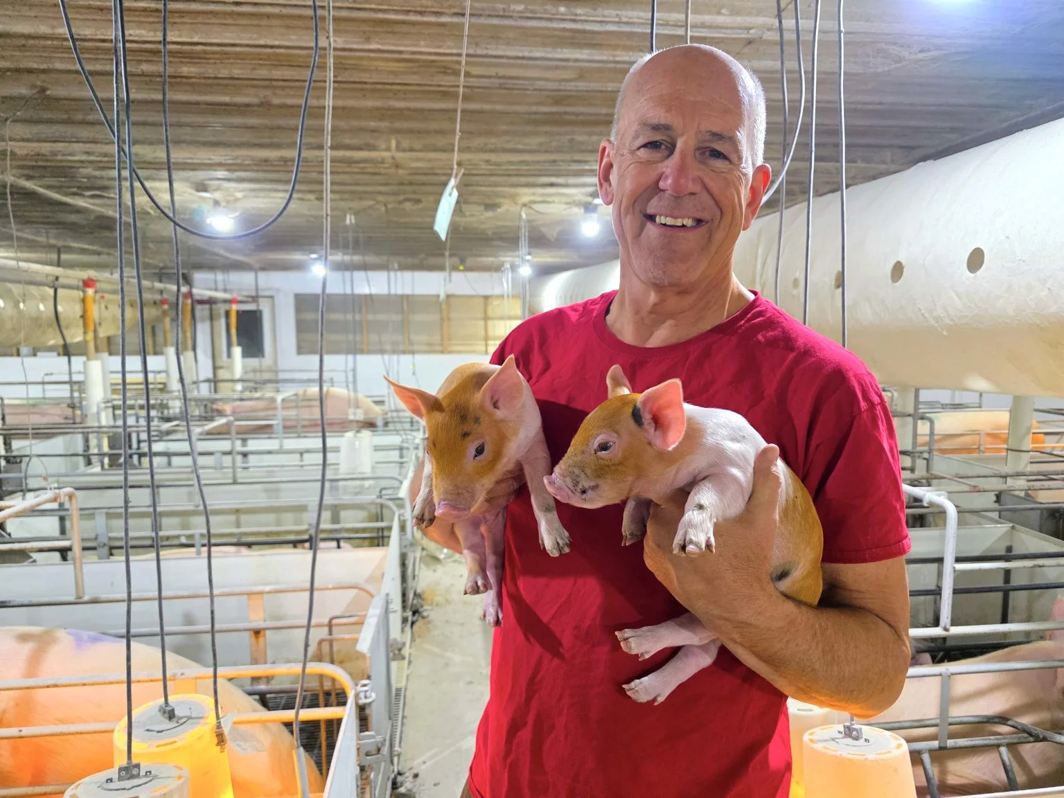 Pennsylvania Hog Producer Brent Hershey Says the Industry Must Face the Crate Debate Head-On