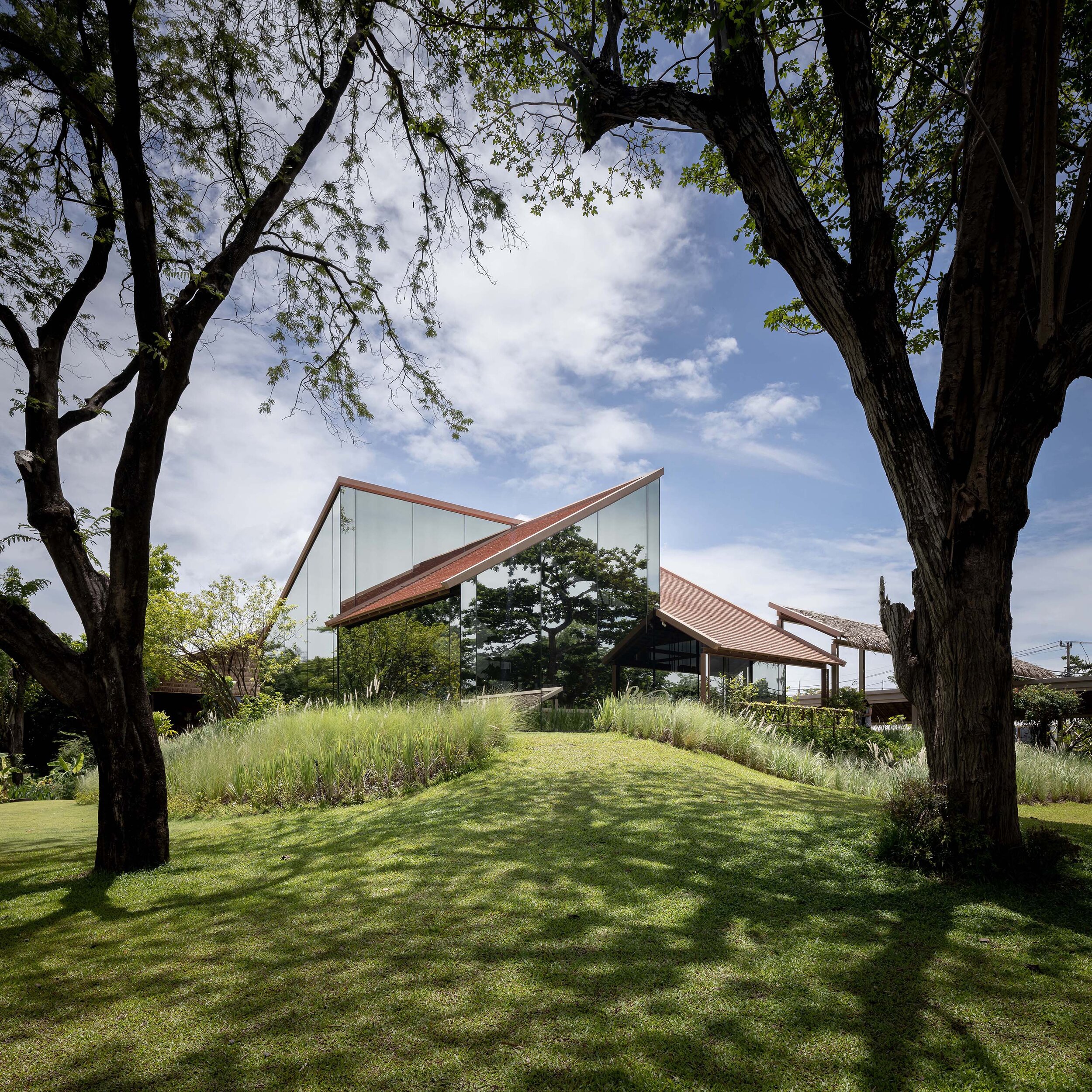 3W2A0255-Pano_View from Existing Tamarind and Trumpets Tree.jpg