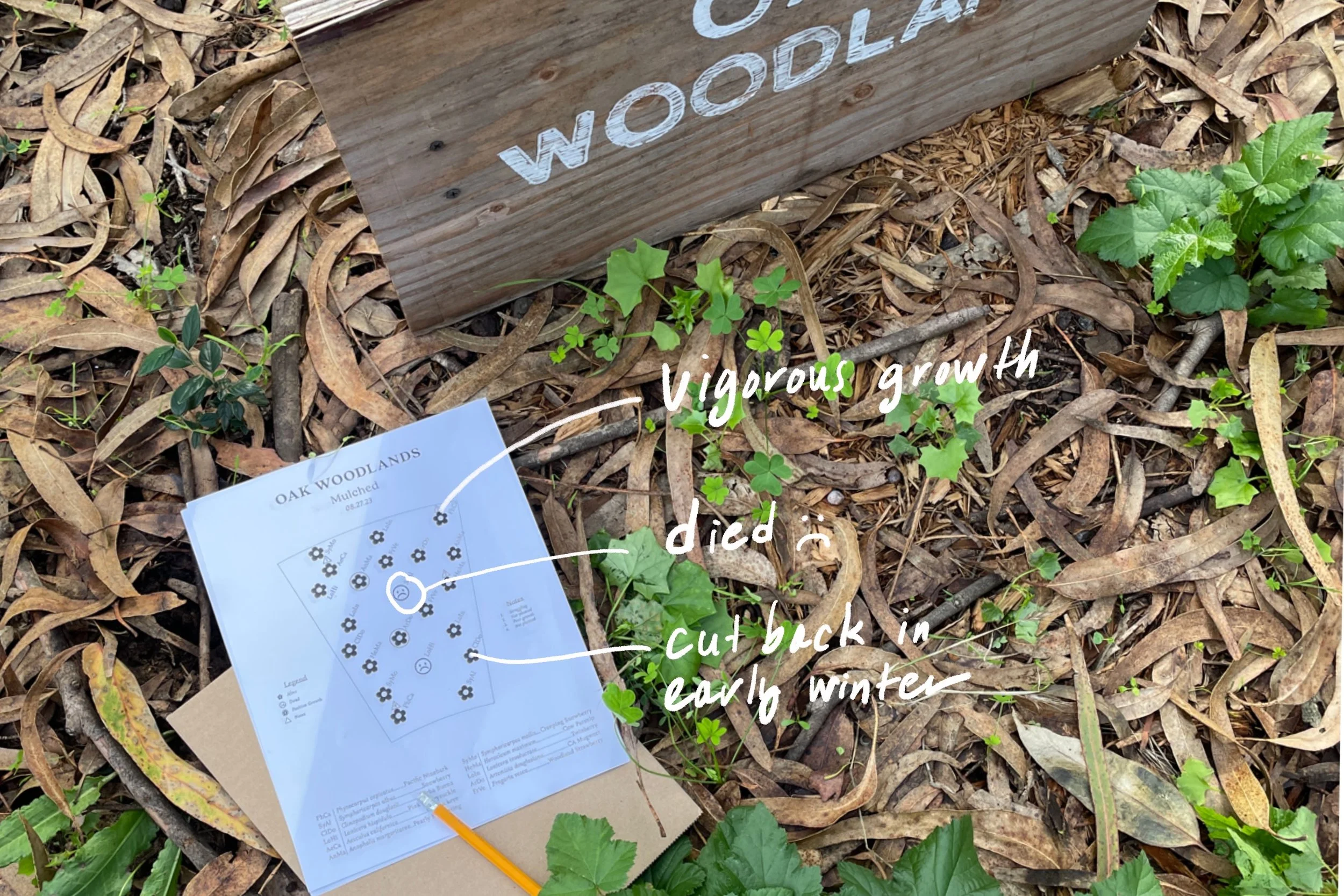 GETTING STARTED — TEST PLOT