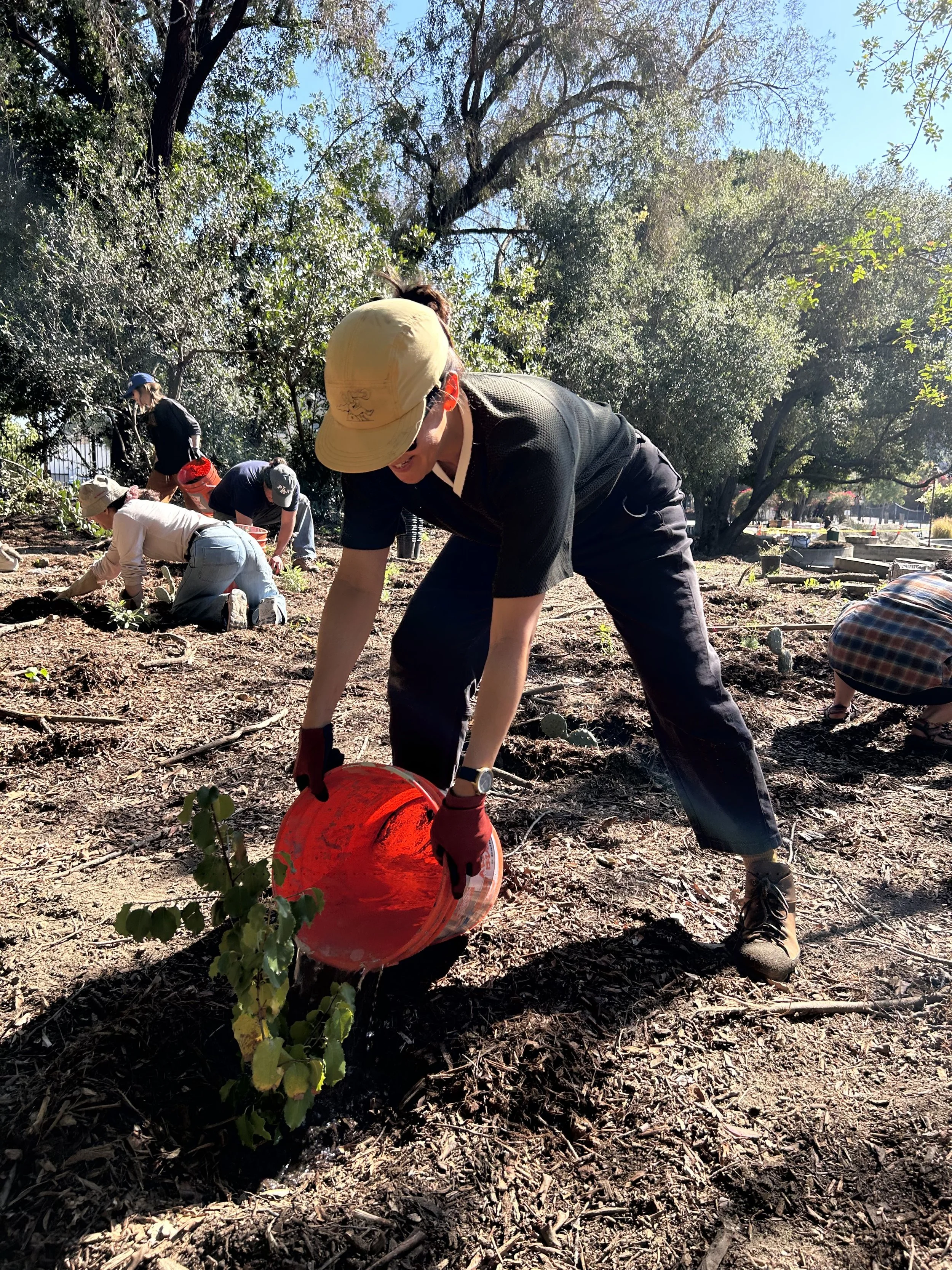 River Garden Park Community Workday