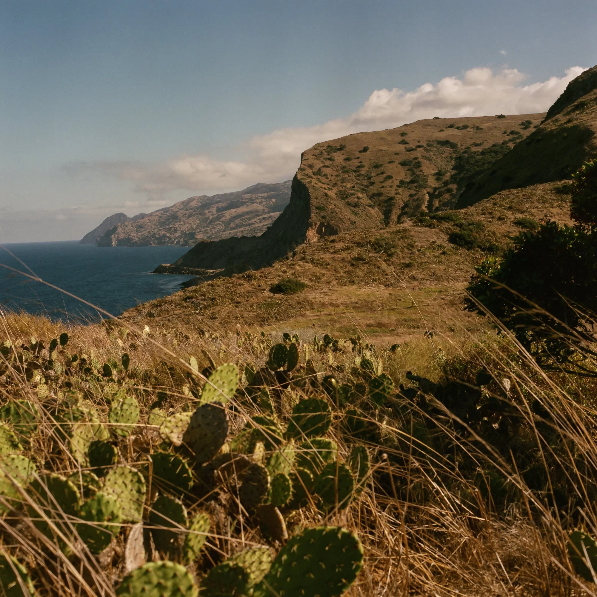 Santa Catalina Island Work Day