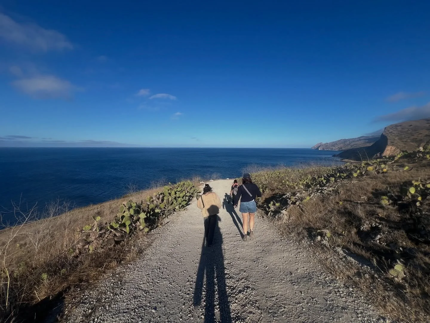 “Traveling to Catalina Island, or nearly any of the islands off the coast of Southern California, can be an exercise in time travel. For a resident of the mainland bight, it is a multi-threaded journey. Yes, time goes back, rhythms slow, but ti