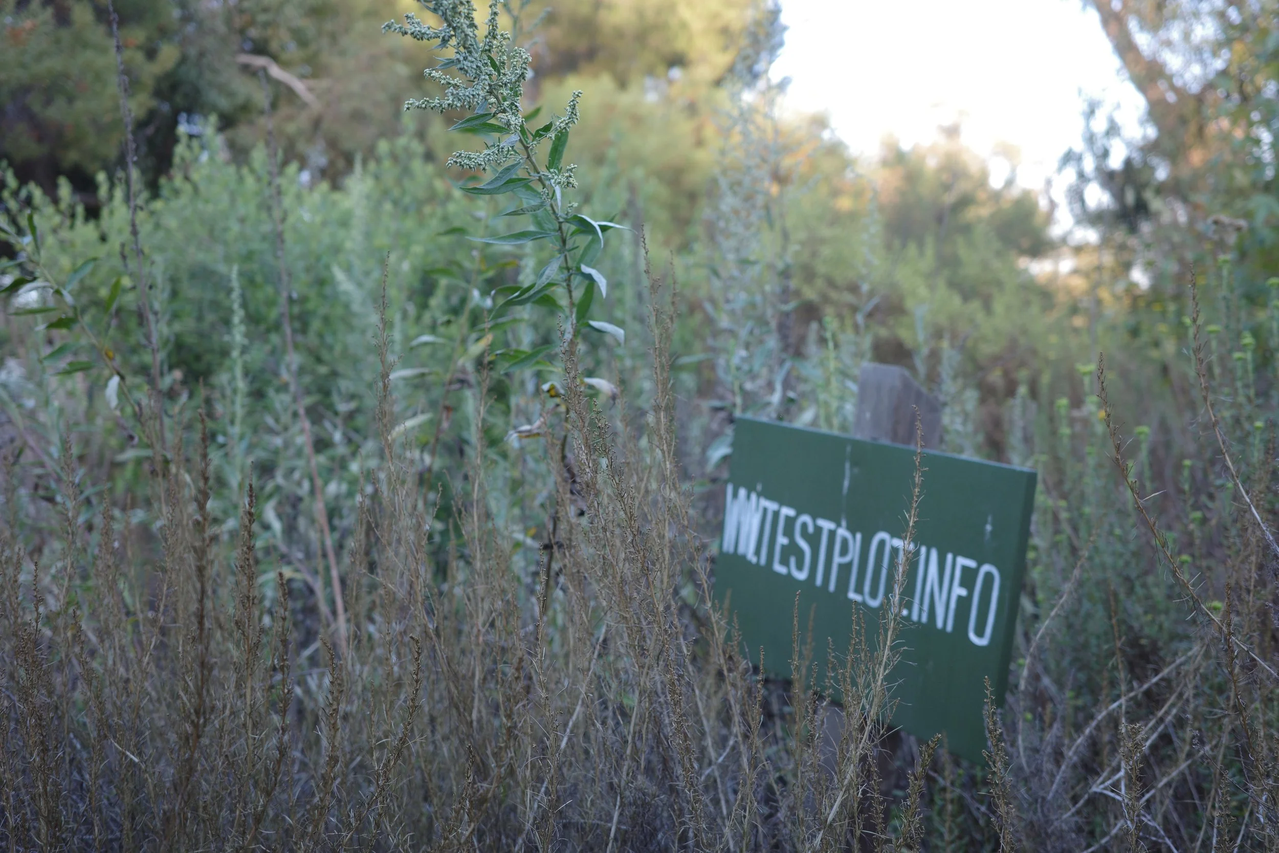 Elysian Park Workday 
