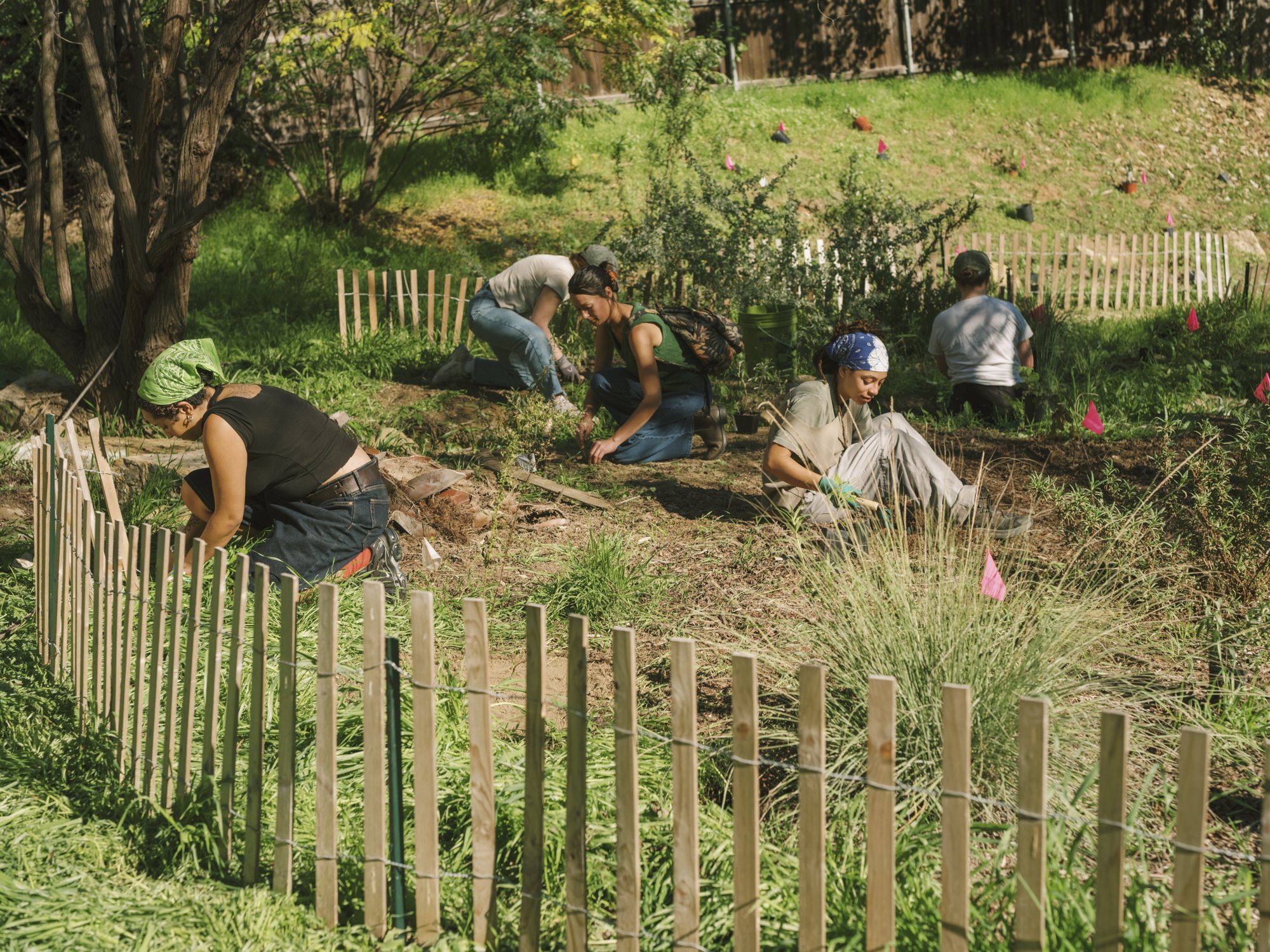 Rainbow Canyon Workday