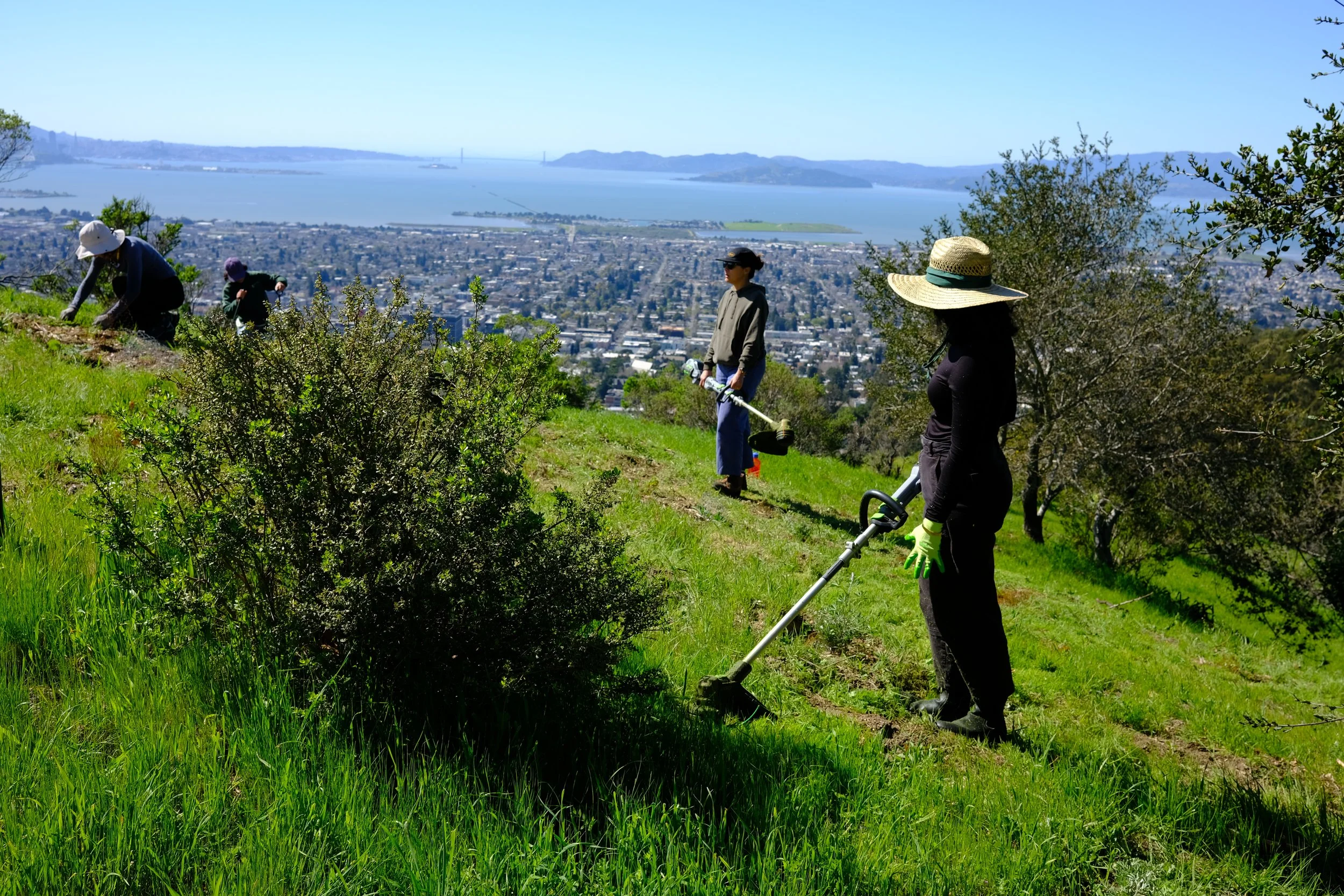 Community Workday at Ohlone Hillside Test Plot (Lawrence Hall of Science)