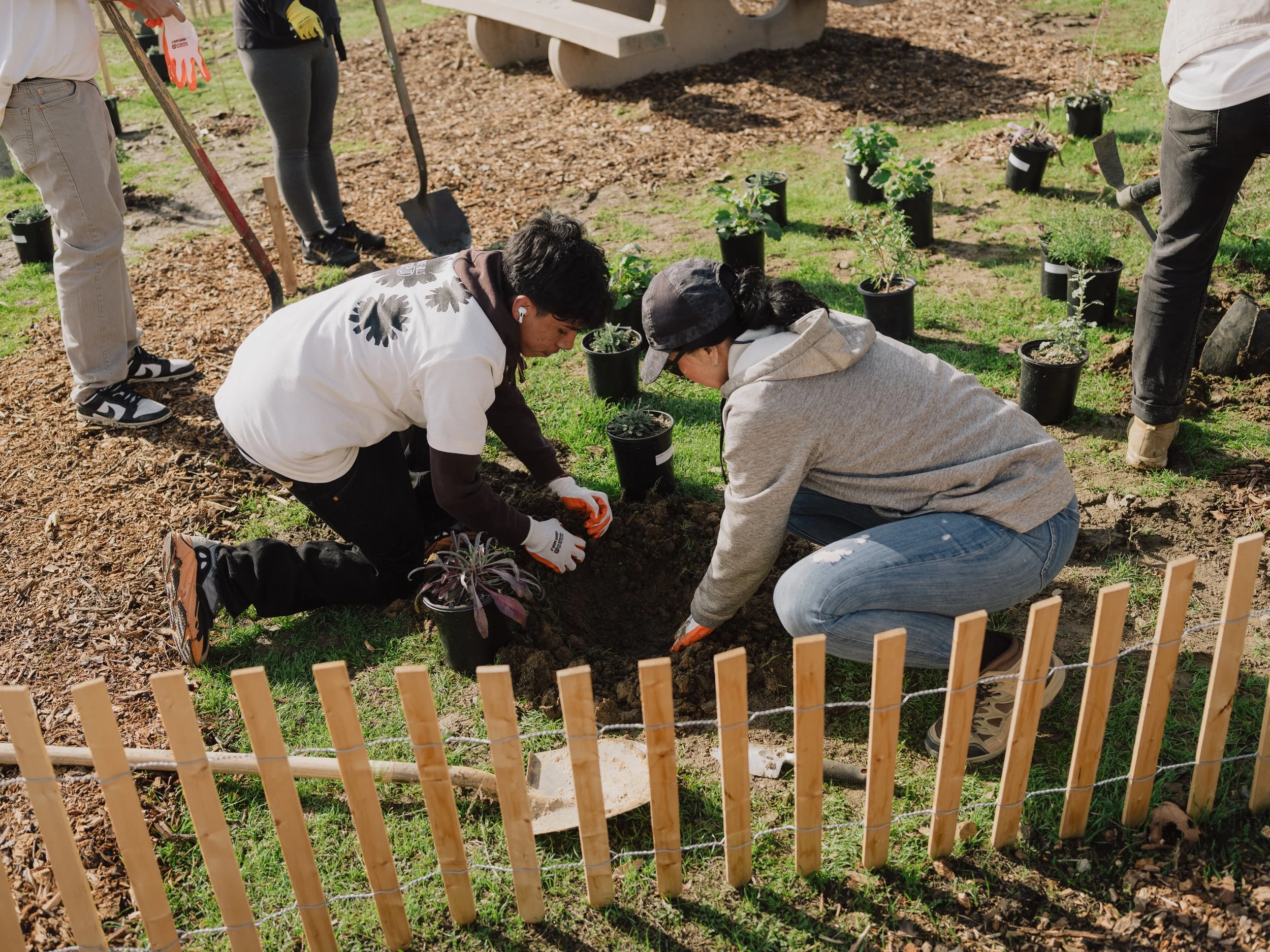 Planting Day at Puente Hills Test Plot 