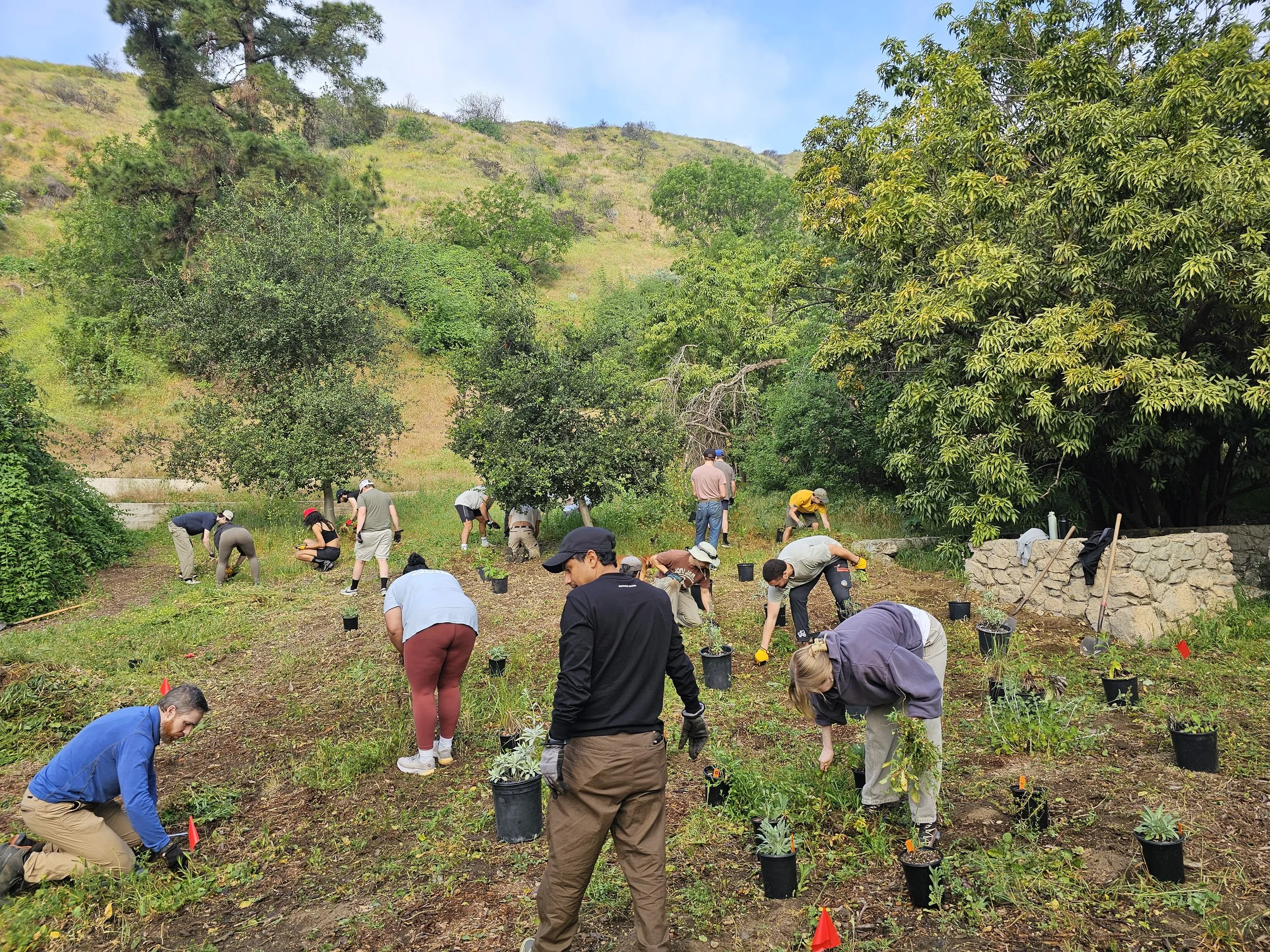 Runyon Canyon Test Plot Community Watering 