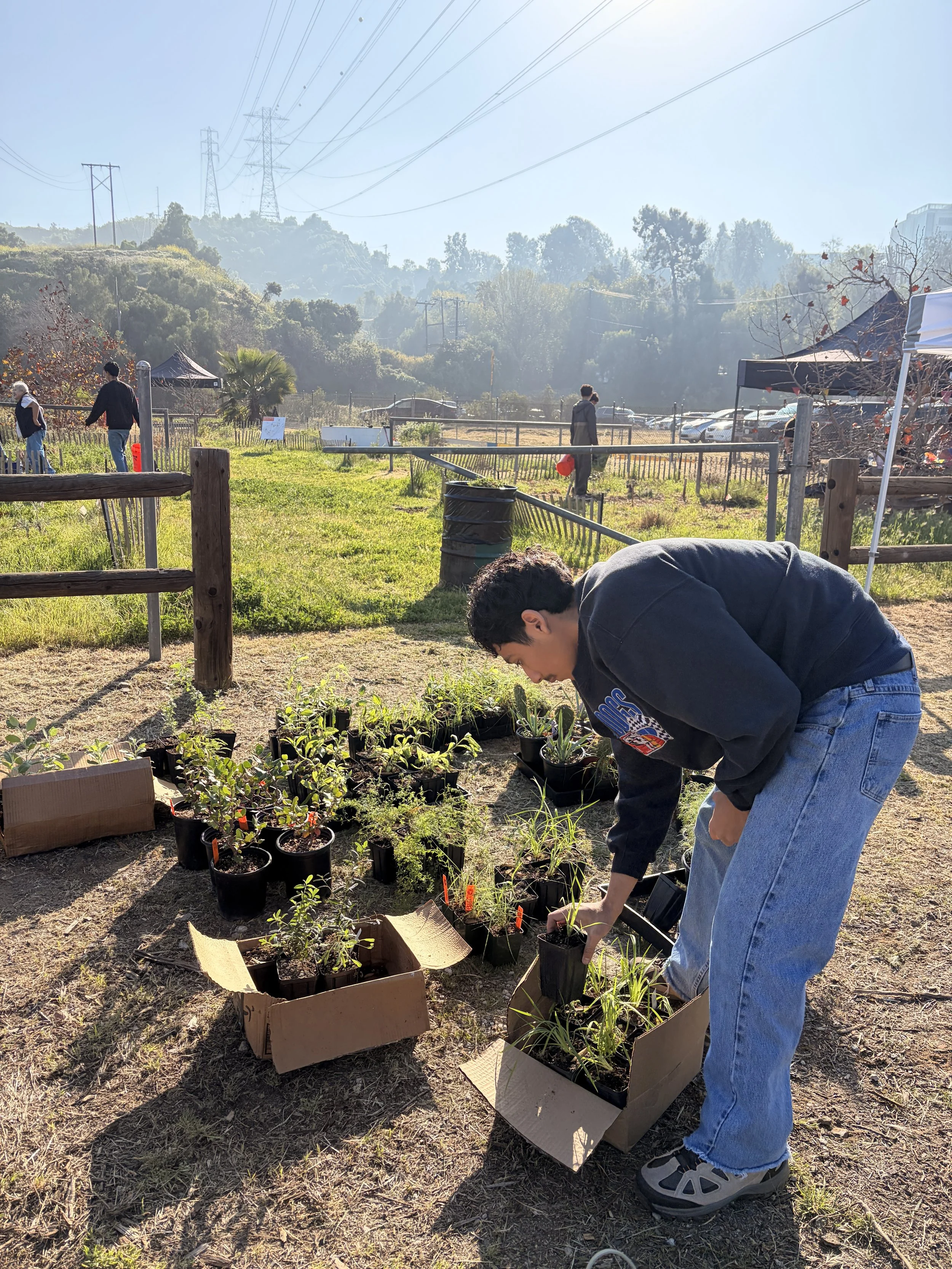 Planting Day at Puente Hills Test Plot 