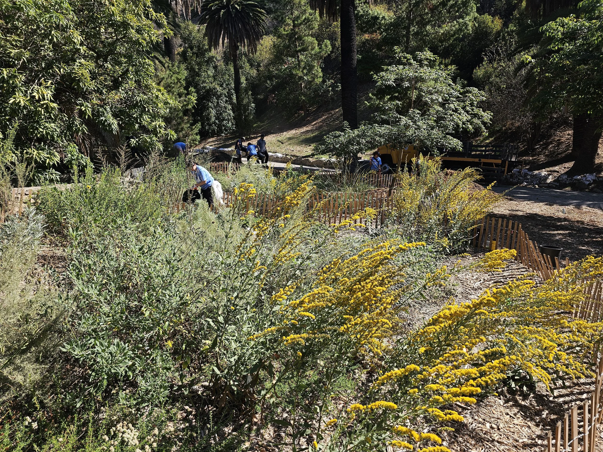 Watering at Runyon Canyon Test Plot 