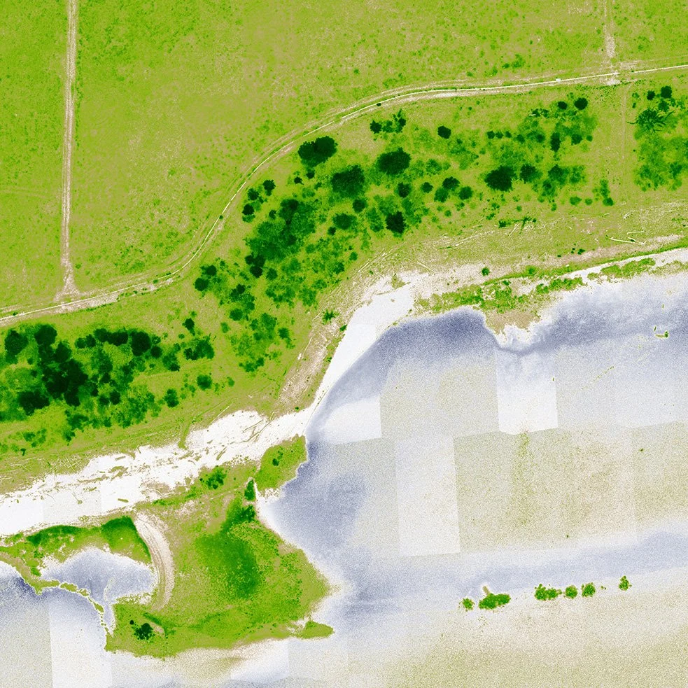 LND LAB PBG Test Plot PDX NDVI.jpg